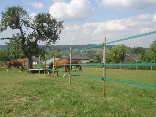 - image: 15