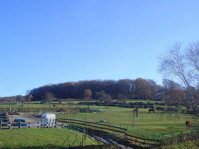 - image: 17