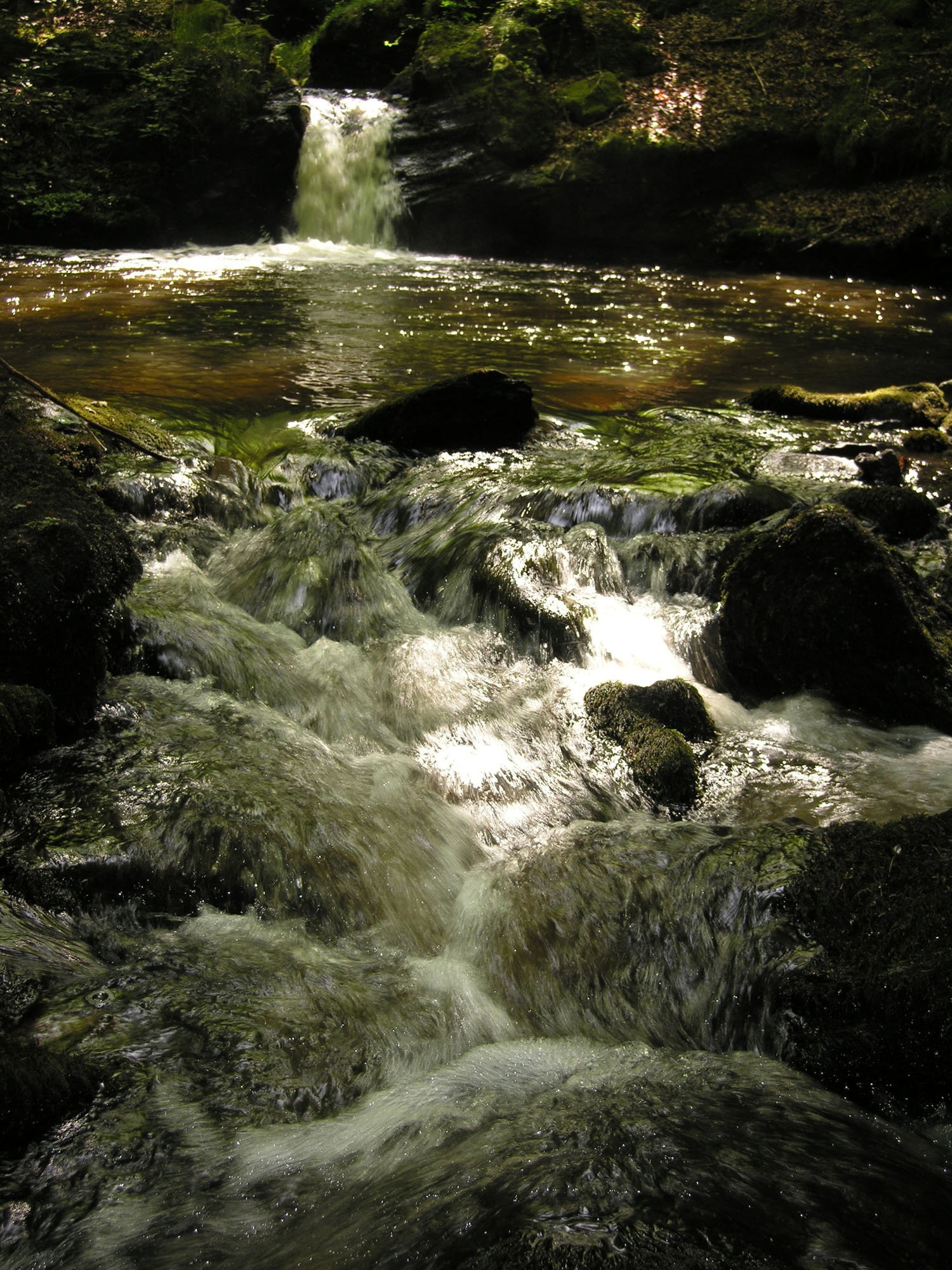 - image: 21