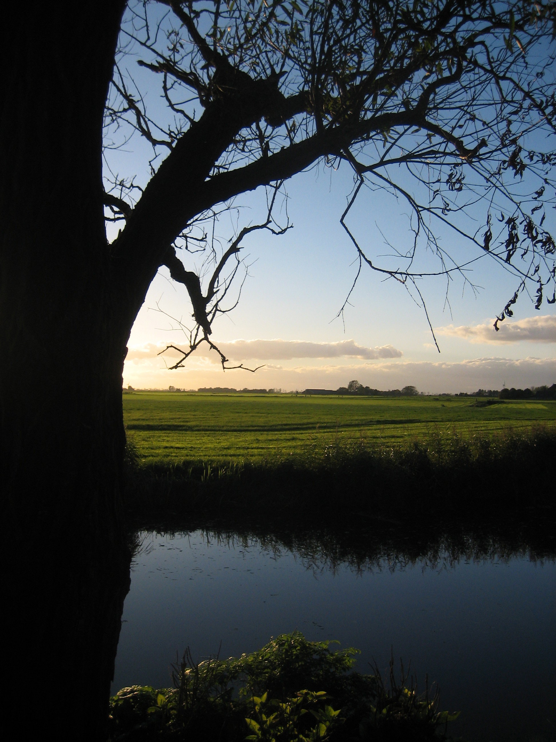Naturhäuschen in Easterein (Oosterend)