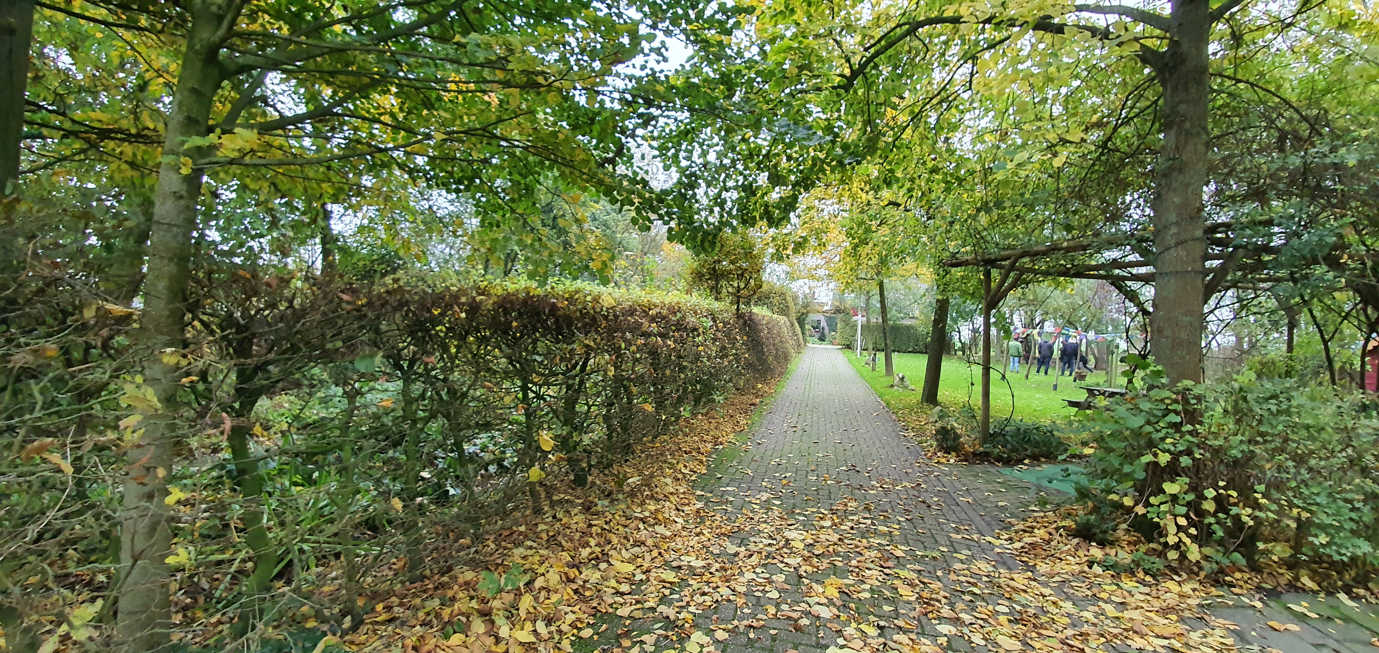 - image: 15
