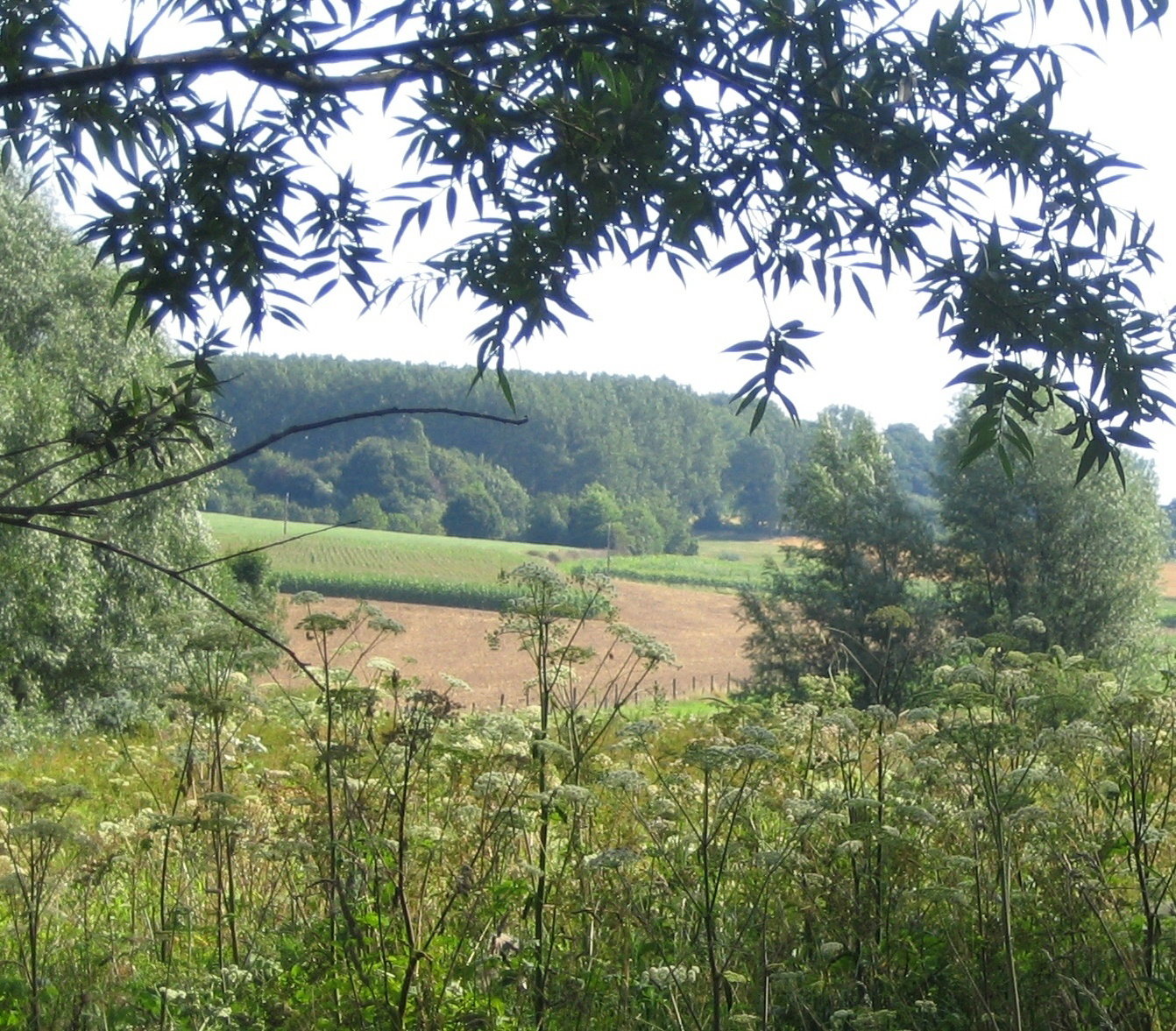 - image: 22