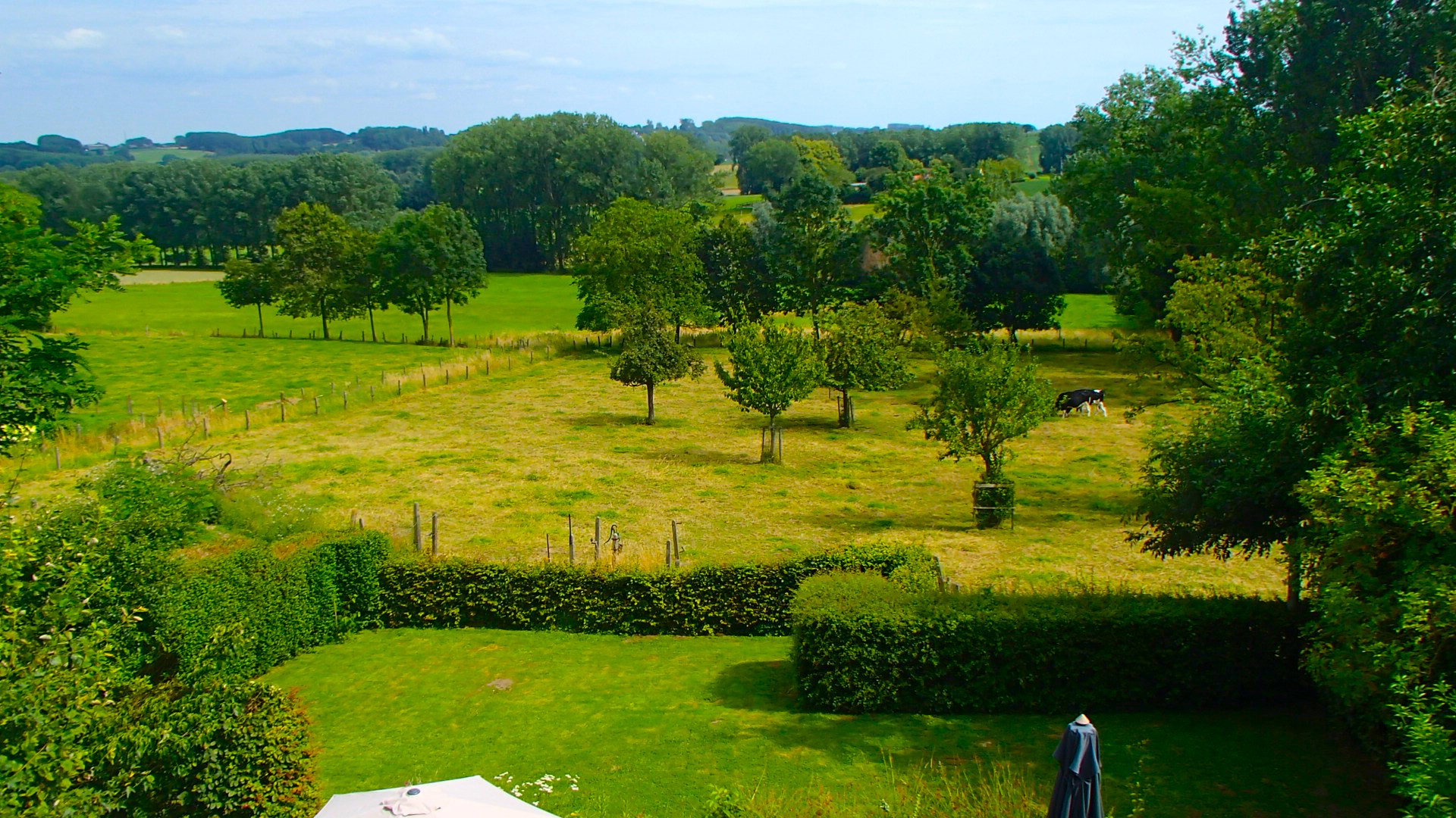 Casa nella natura a Brakel