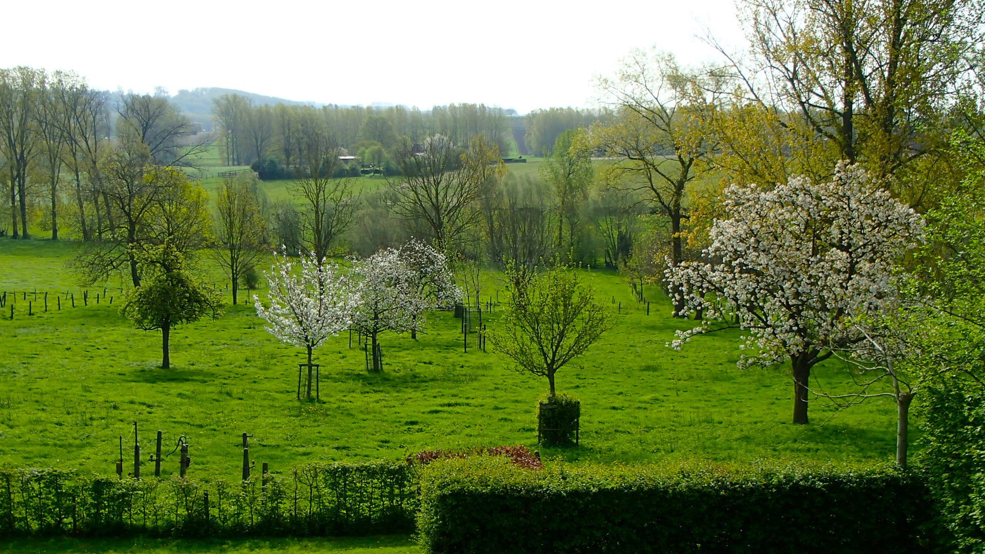 Casa nella natura a Brakel