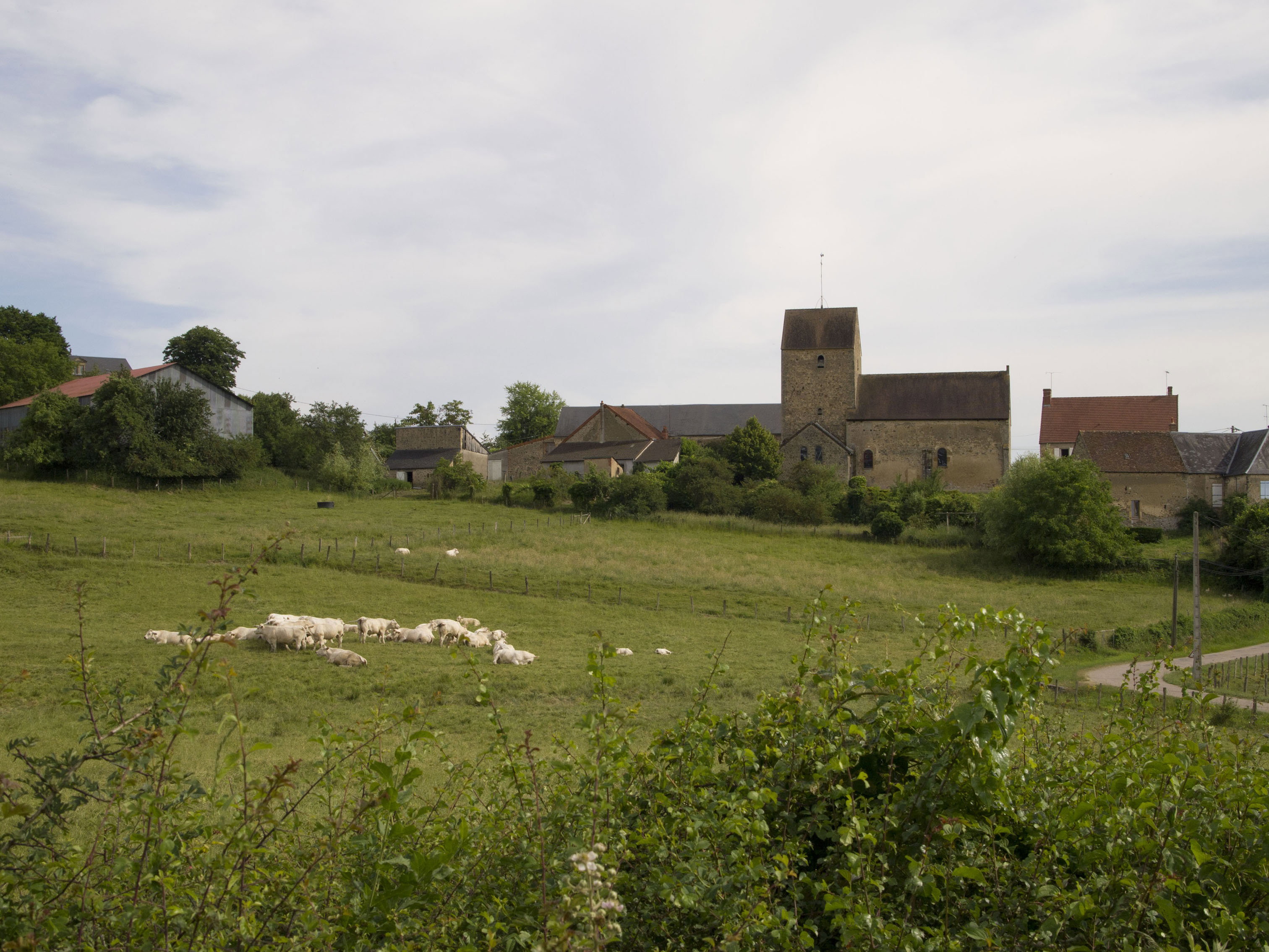 - image: 12