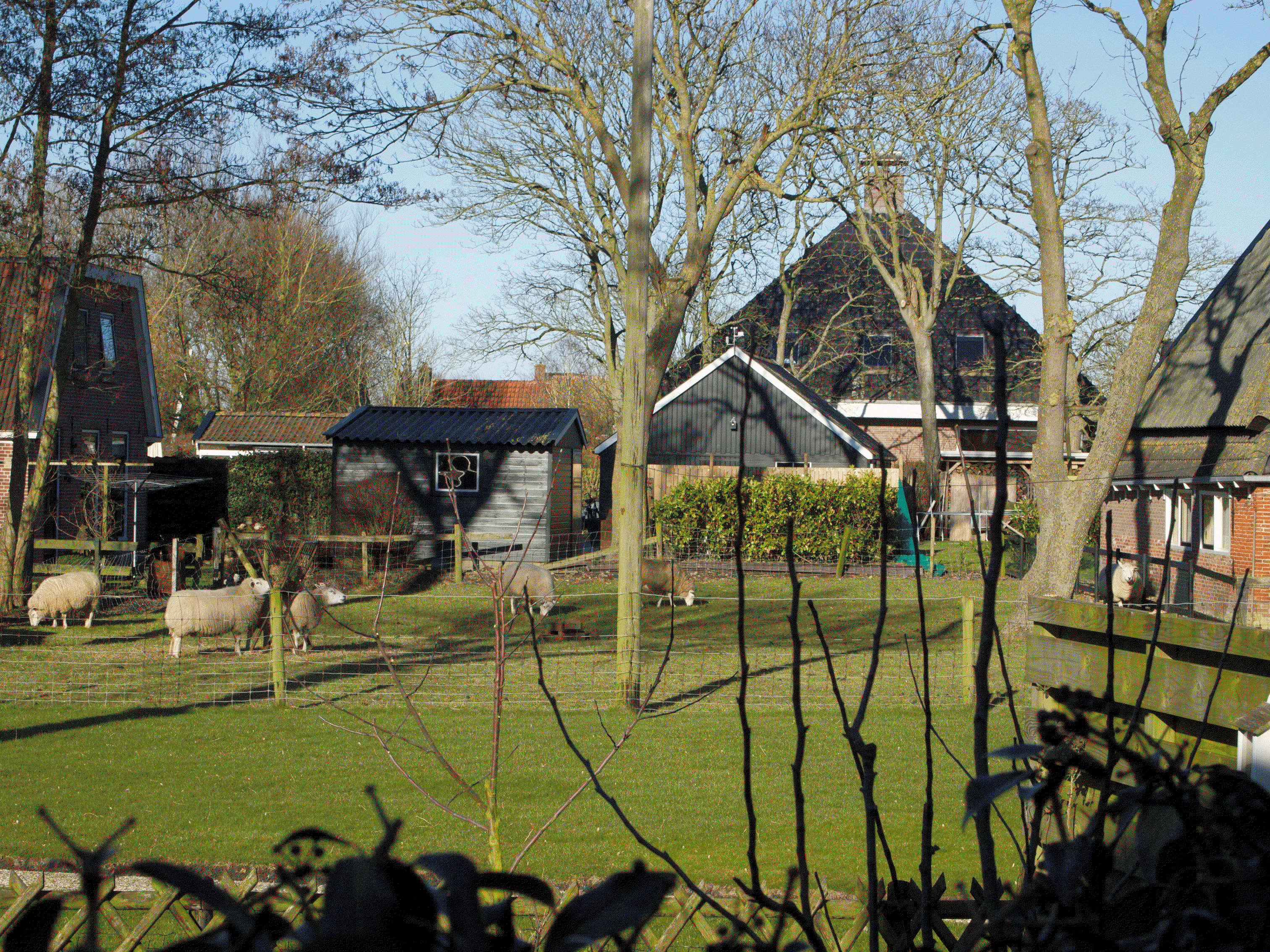 Maison nature à Paesens Moddergat