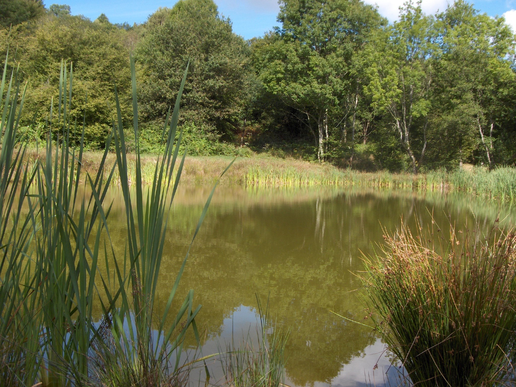 Naturhäuschen in Fachin