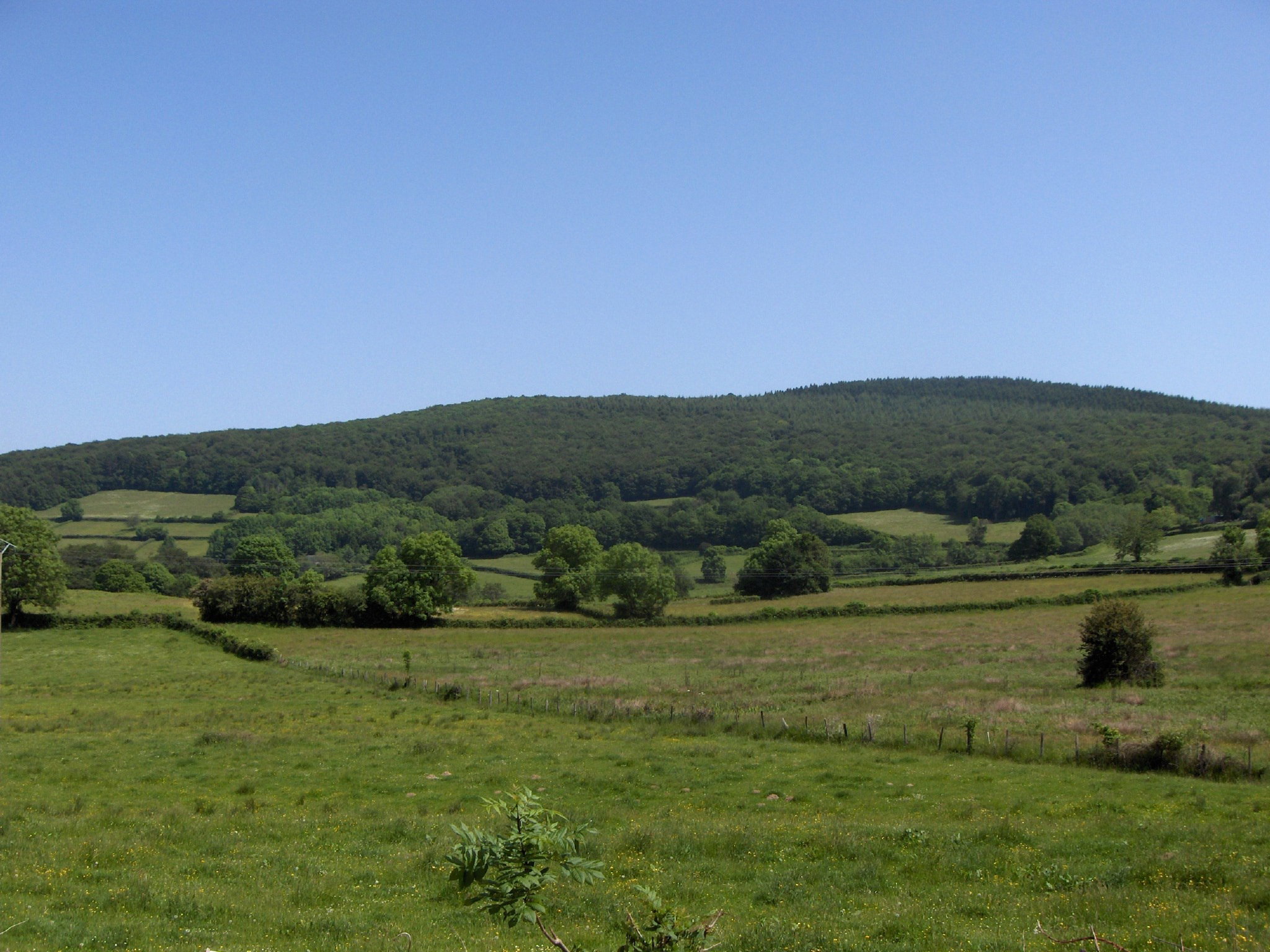 - image: 14