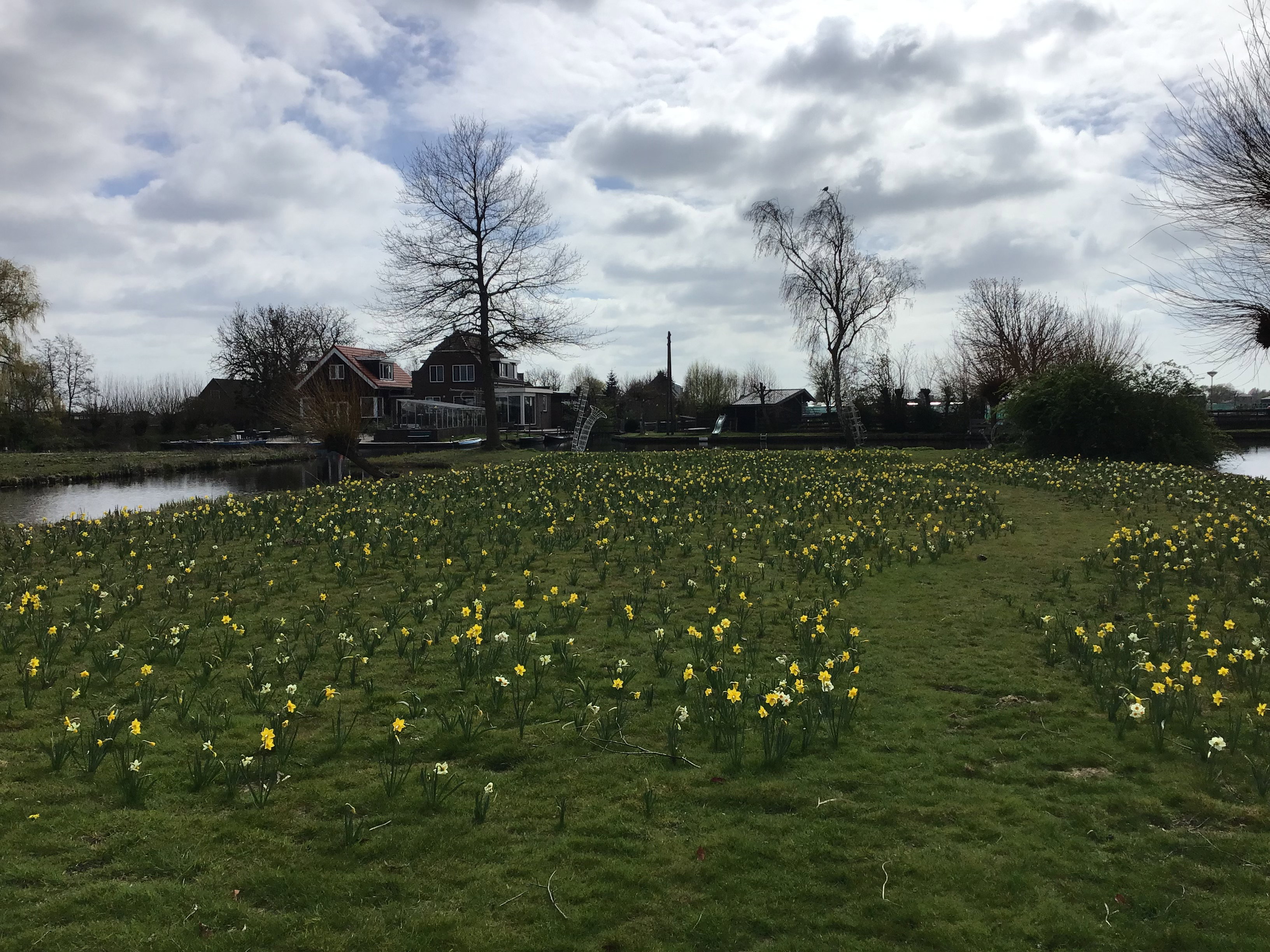 Natuurhuisje in Hazerswoude-Dorp