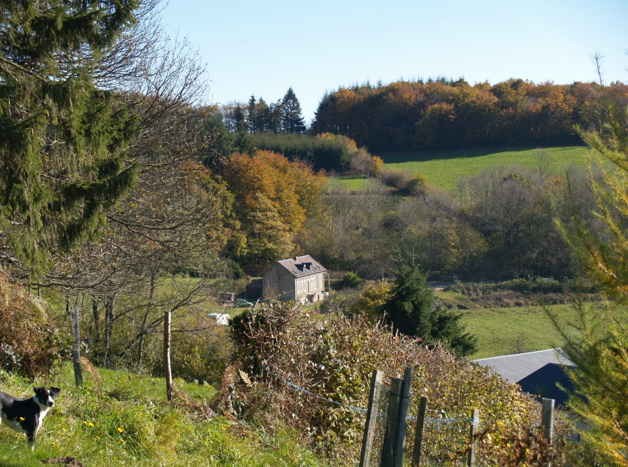 Maison nature à Arleuf