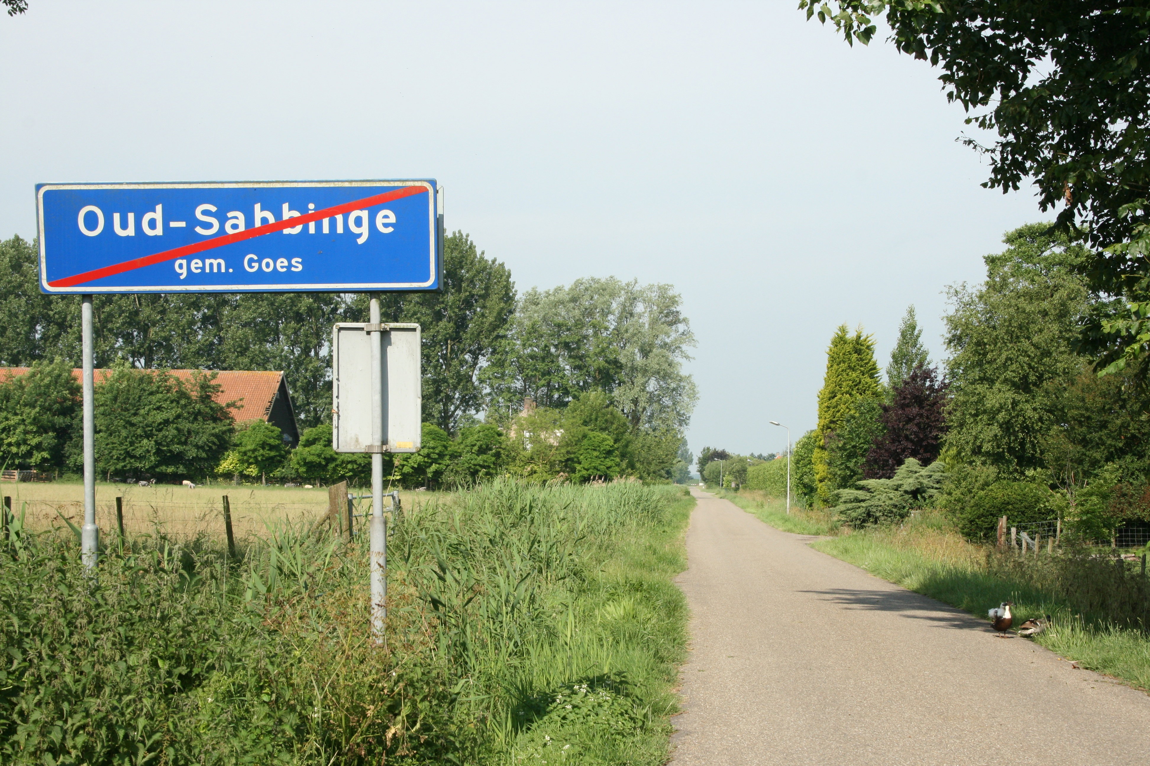 - image: 13