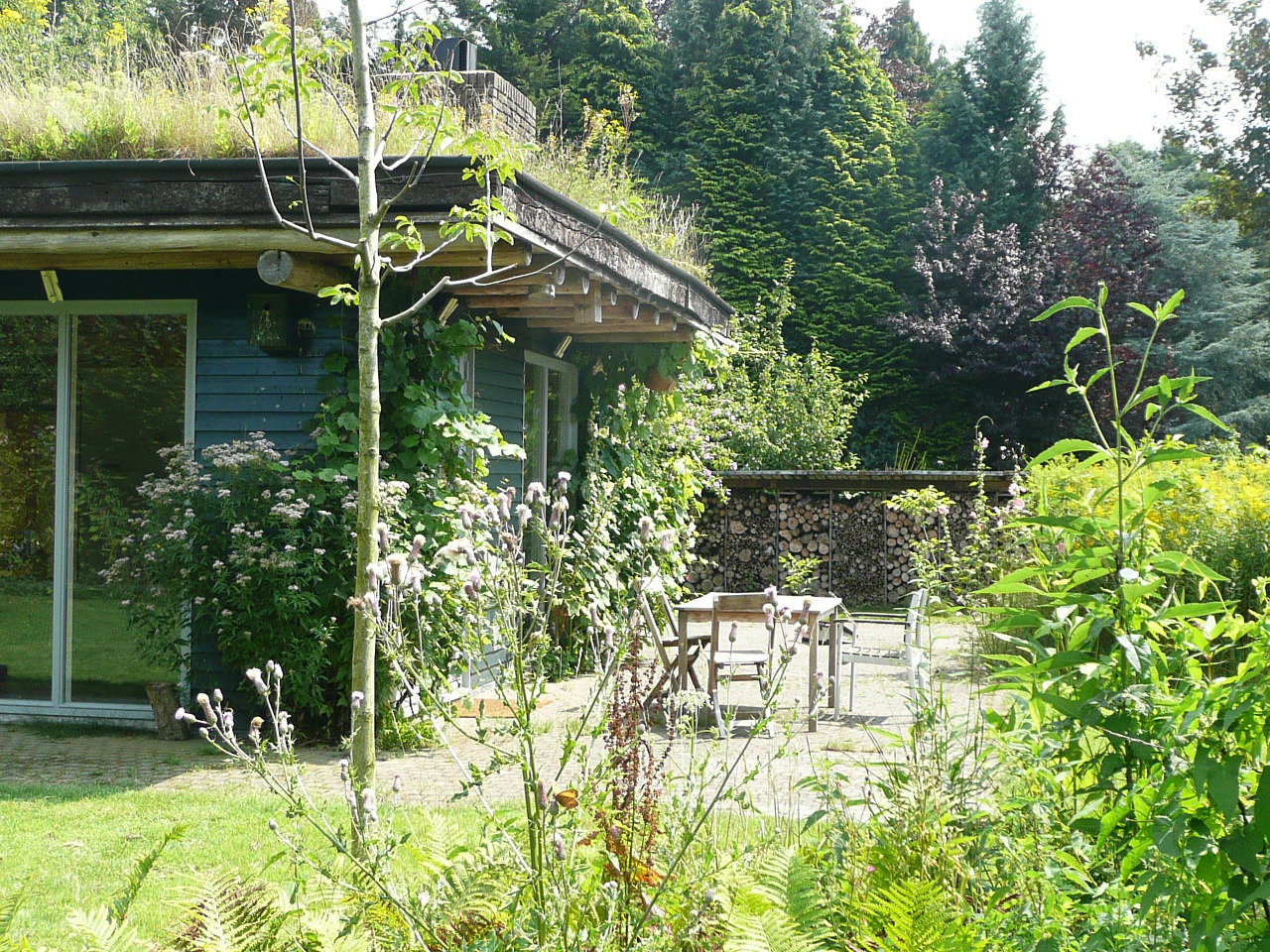- image: 28