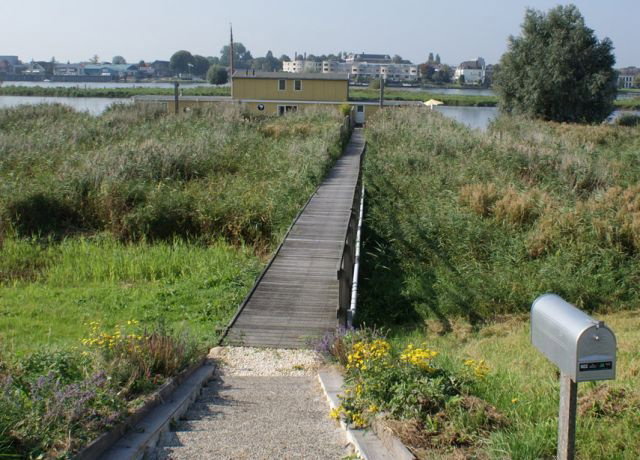 - image: 12