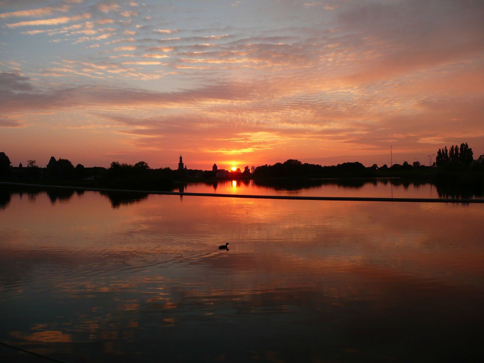 - image: 20