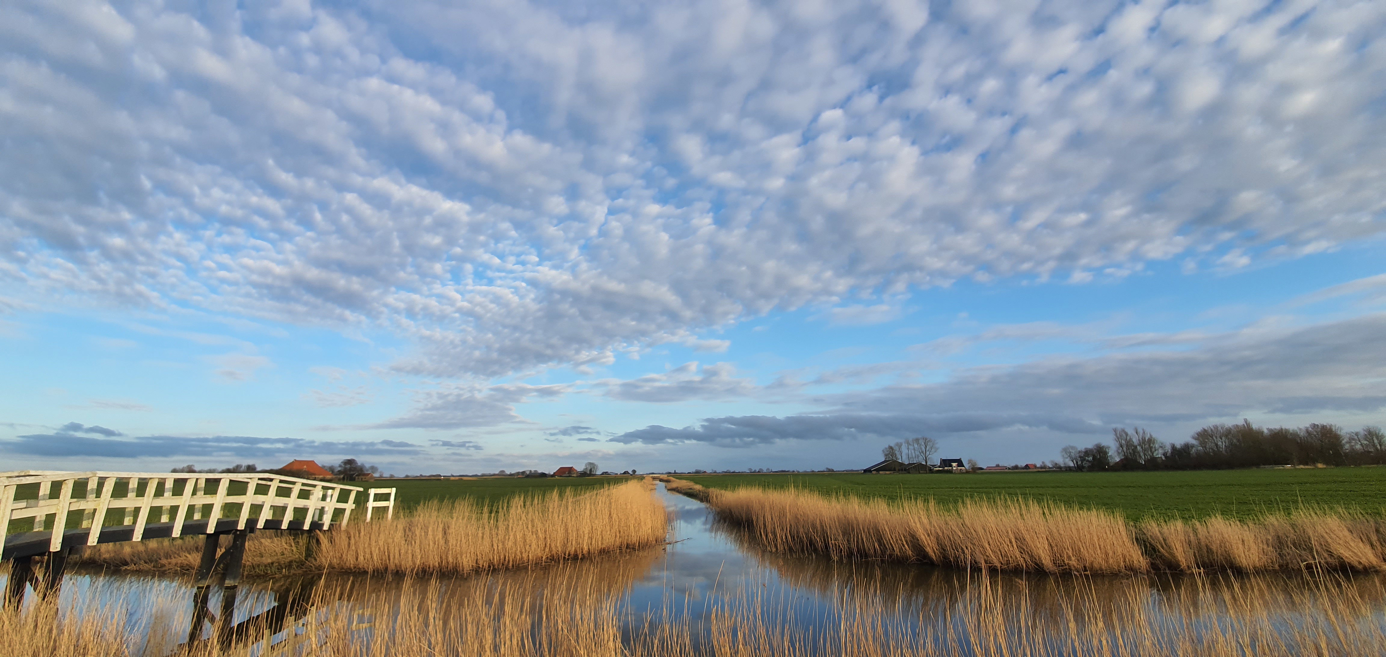 Naturhäuschen in Easterein (Oosterend)
