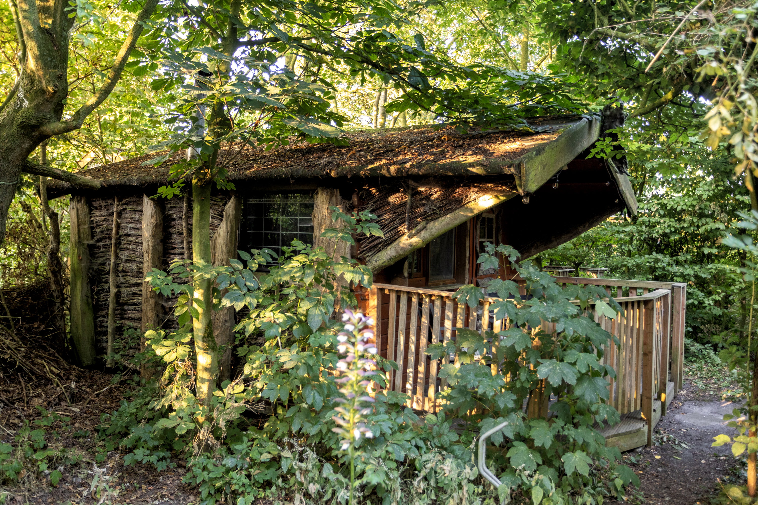 Naturhäuschen in Easterein (Oosterend)