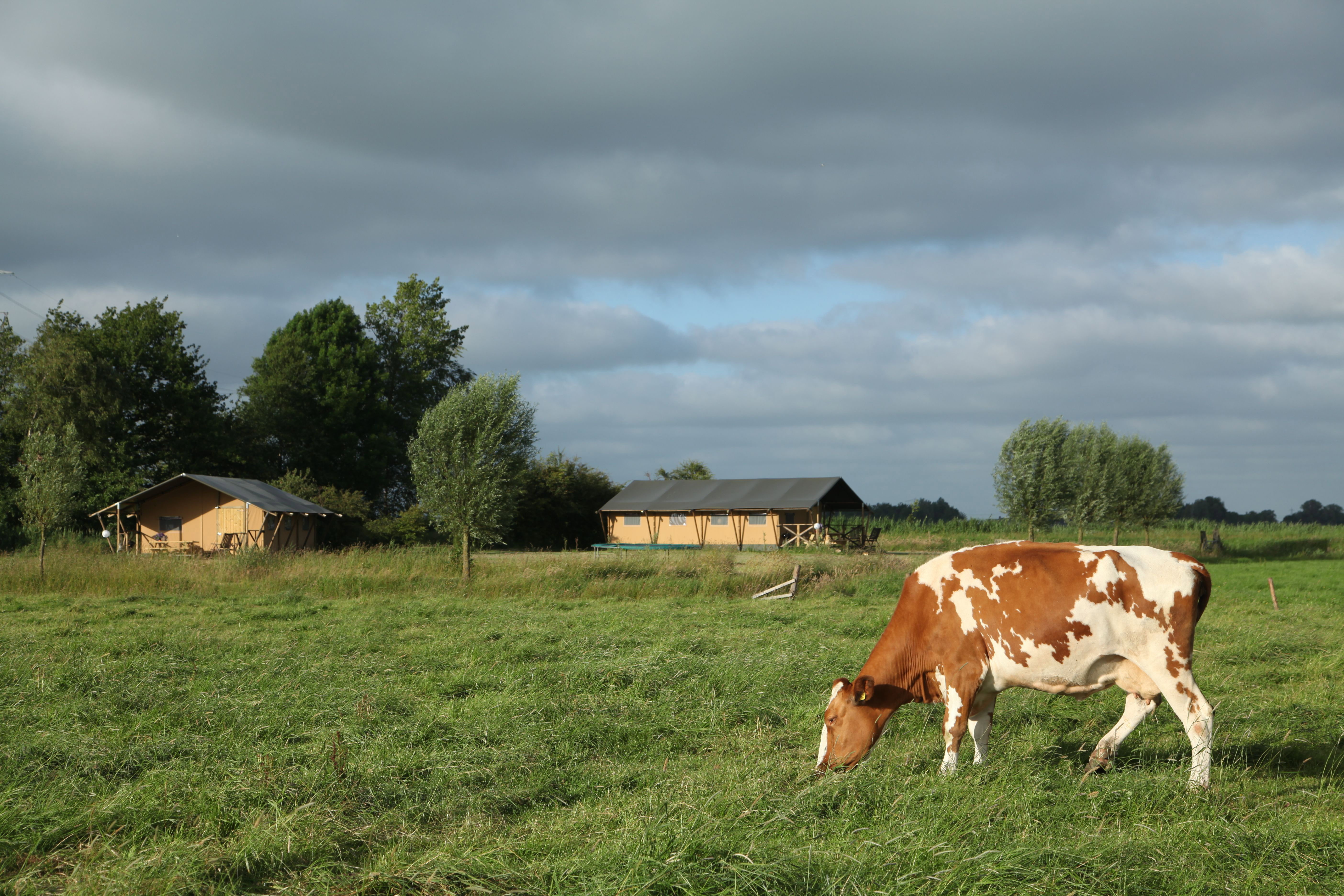 Naturhäuschen in Lettelbert