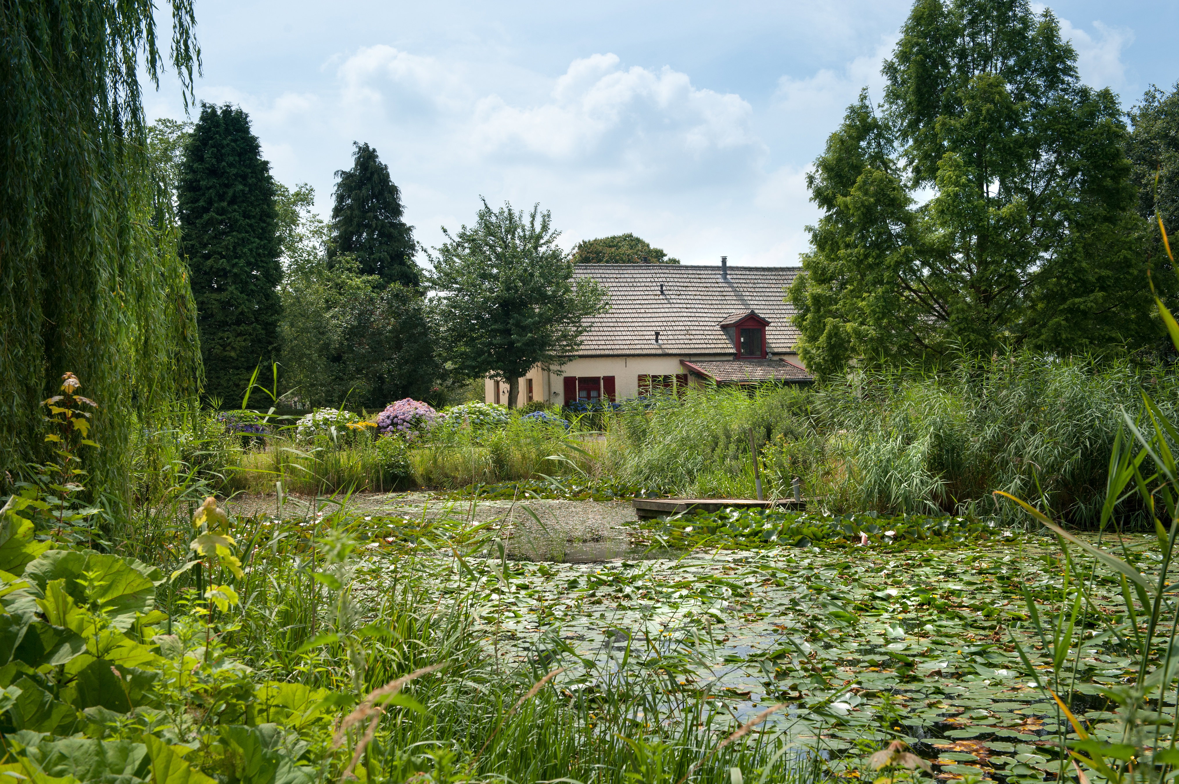 Maison nature à Siebengewald