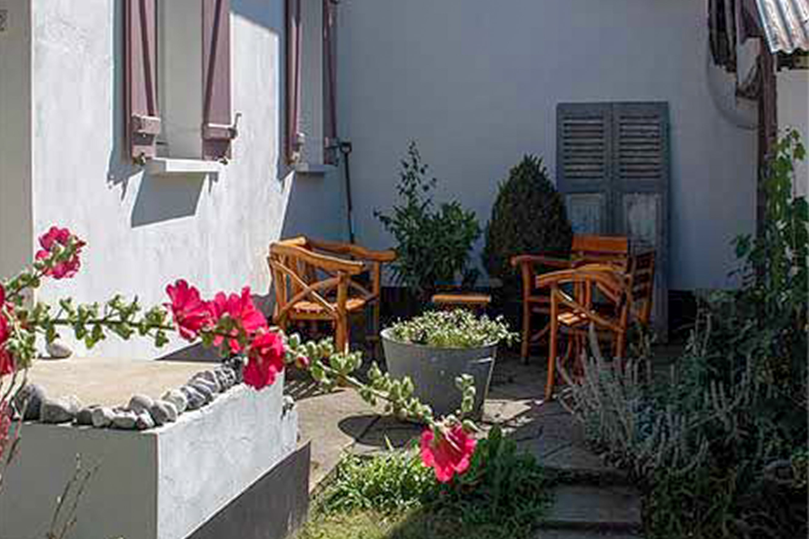 - image: 12