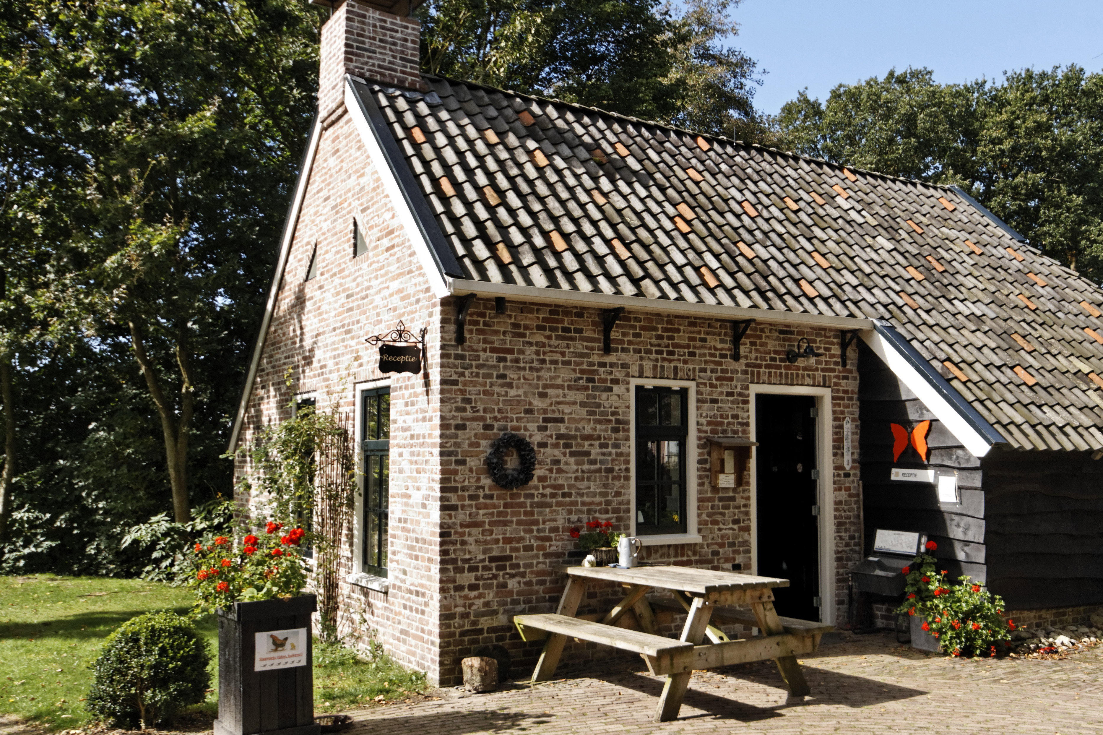 - image: 11