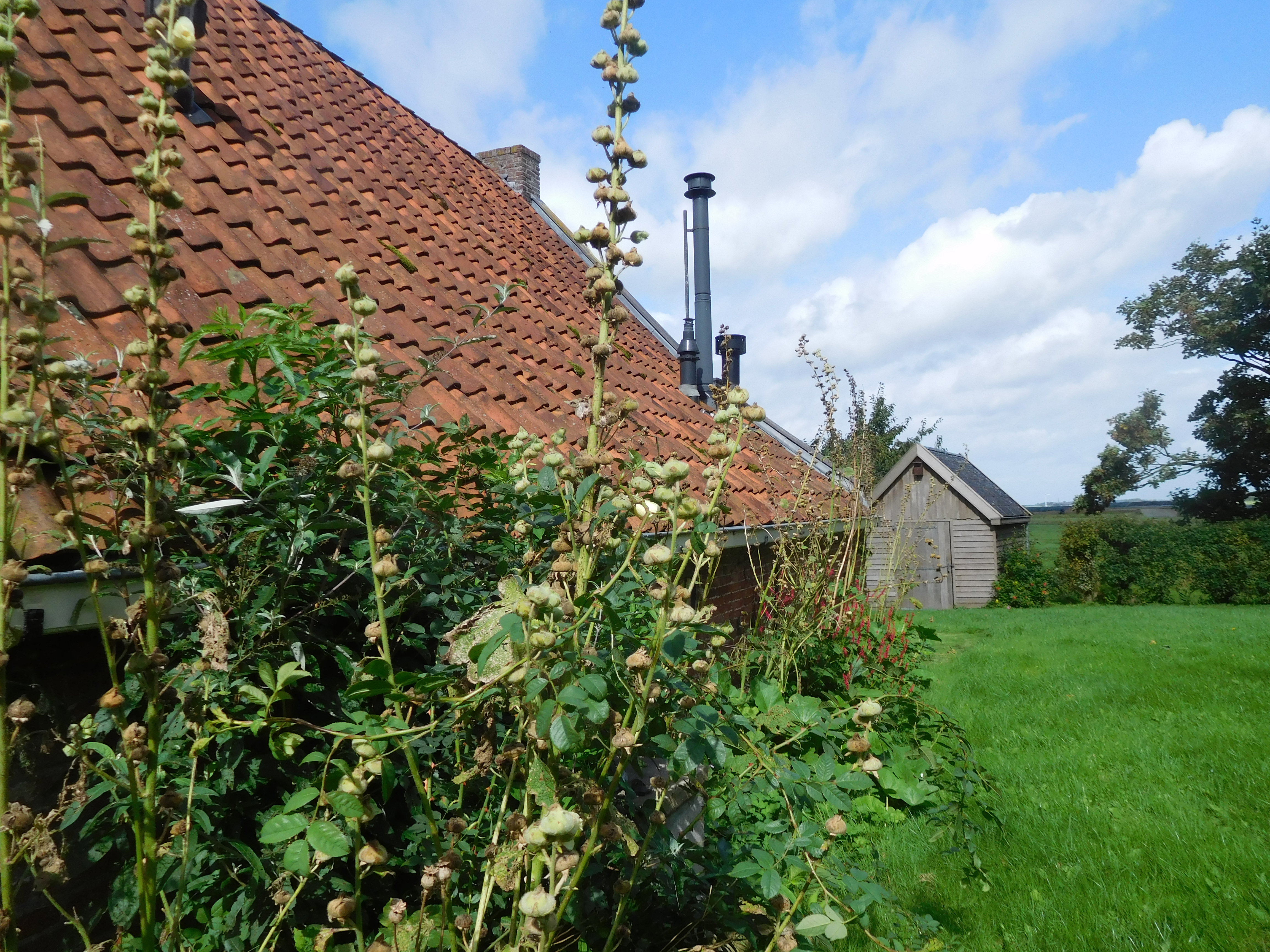 Maison nature à Jannum