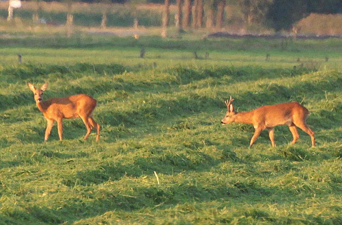 Naturhäuschen in Ansen
