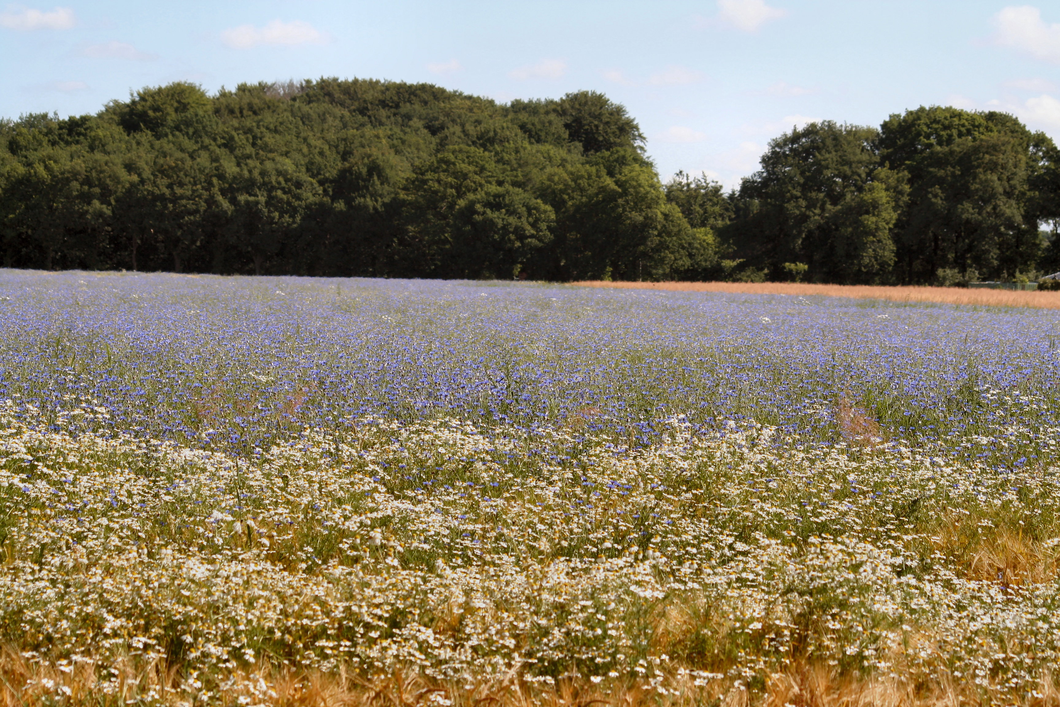 Naturhäuschen in Ansen