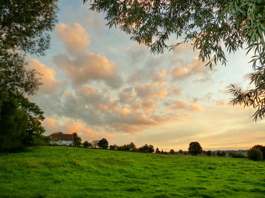 Naturhäuschen in Mechelen
