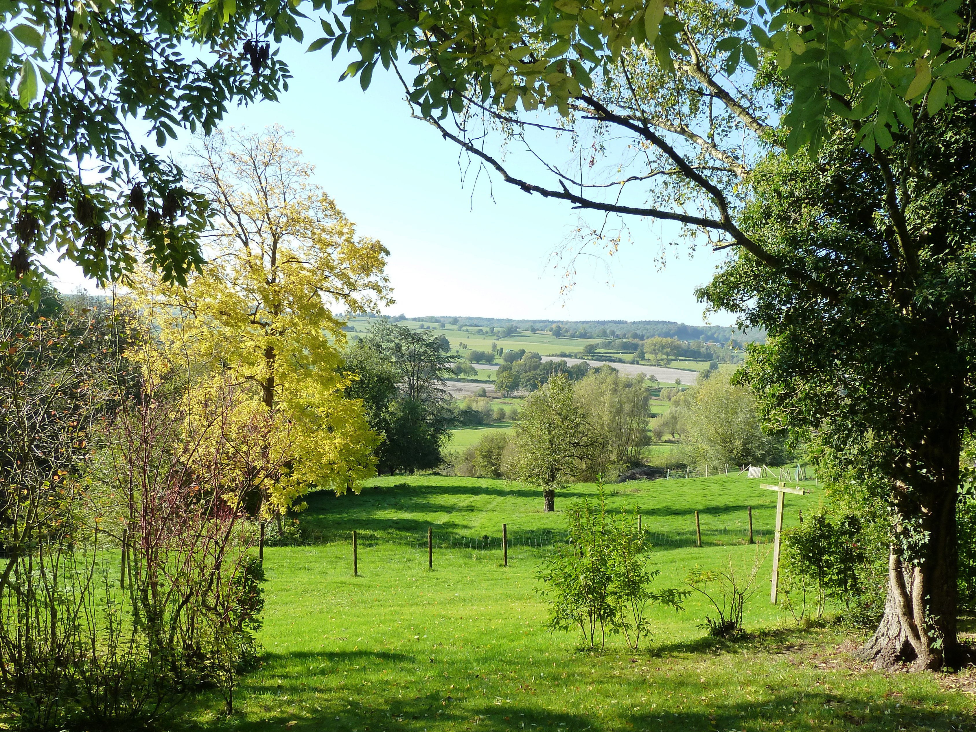 - image: 13