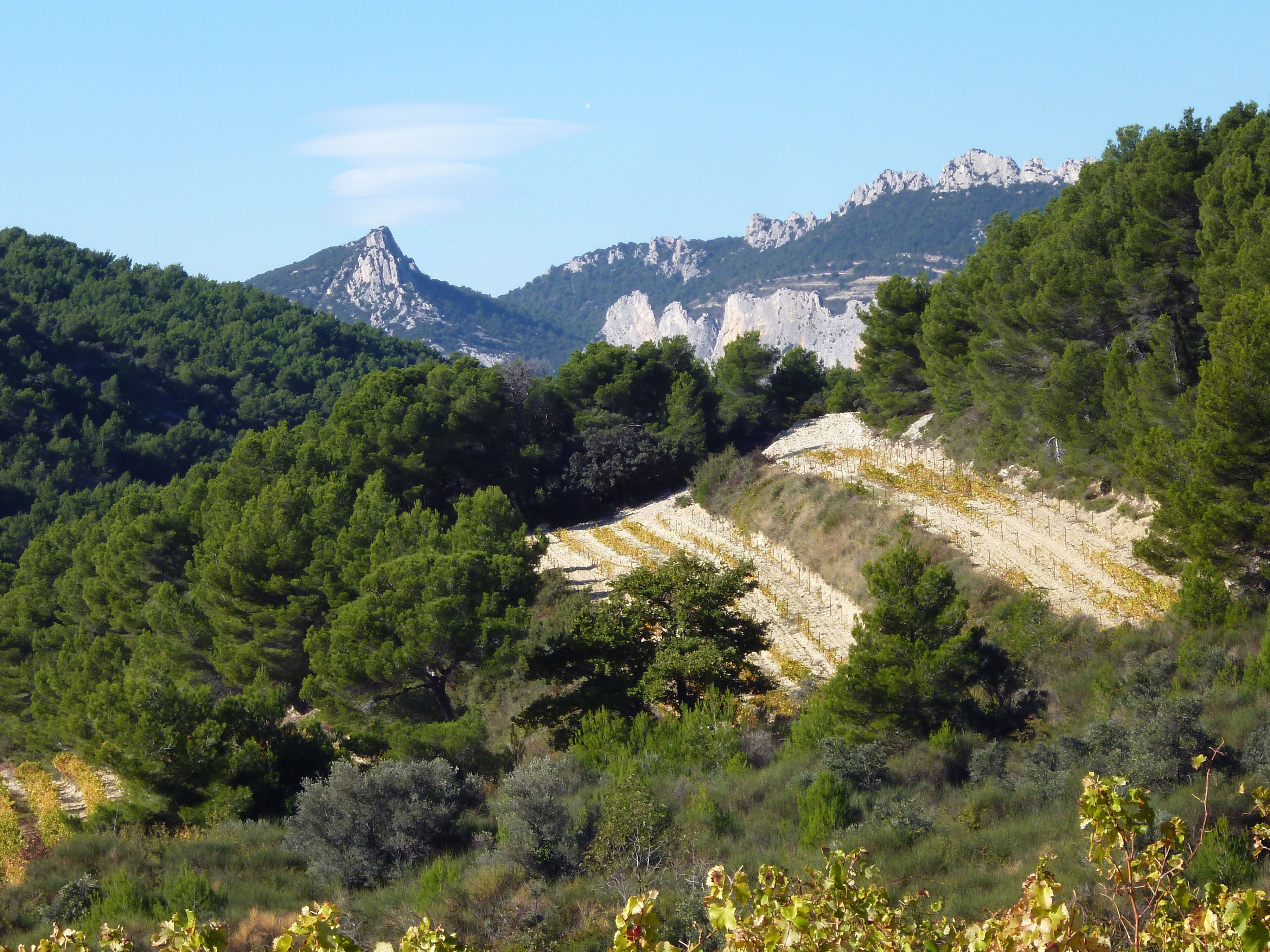 Casa nella natura a Gigondas