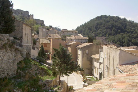 - image: 16