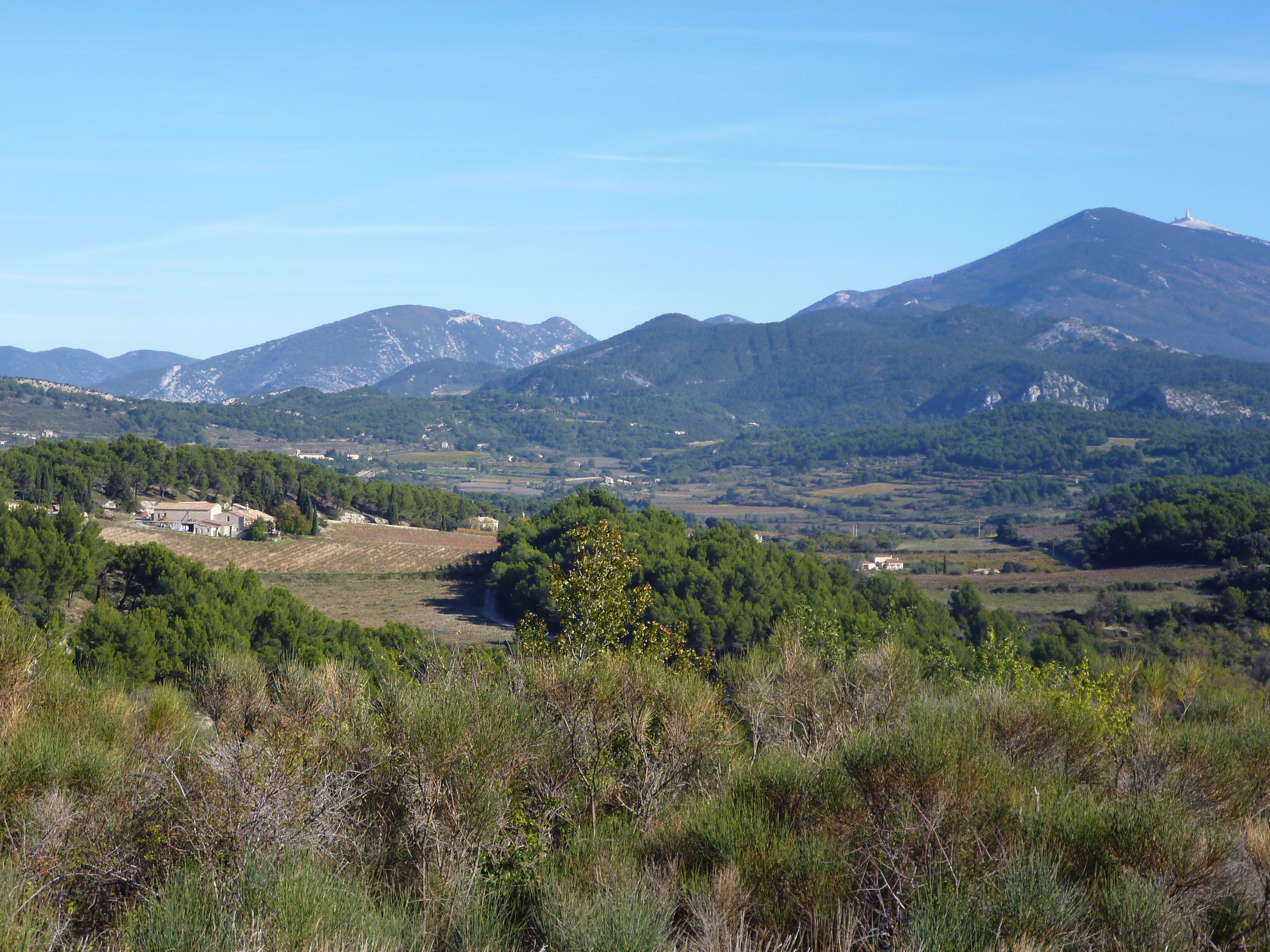 - image: 11