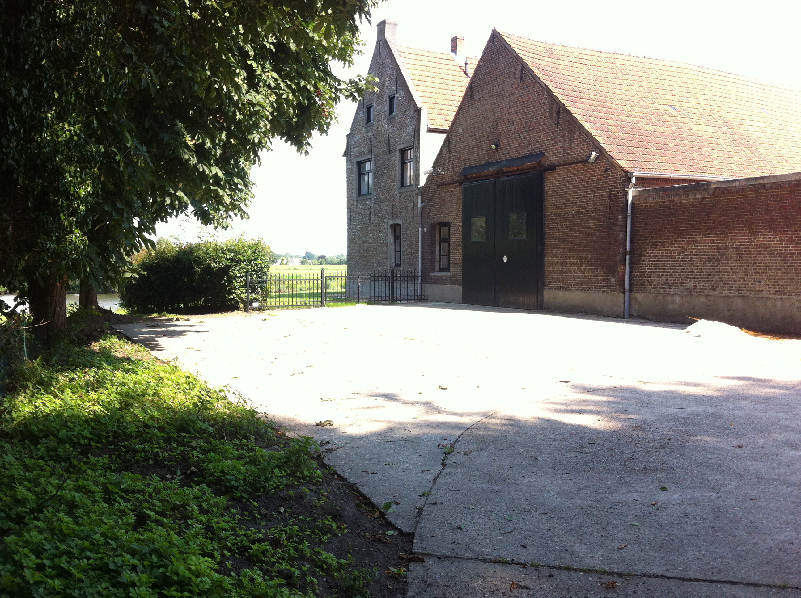 - image: 11