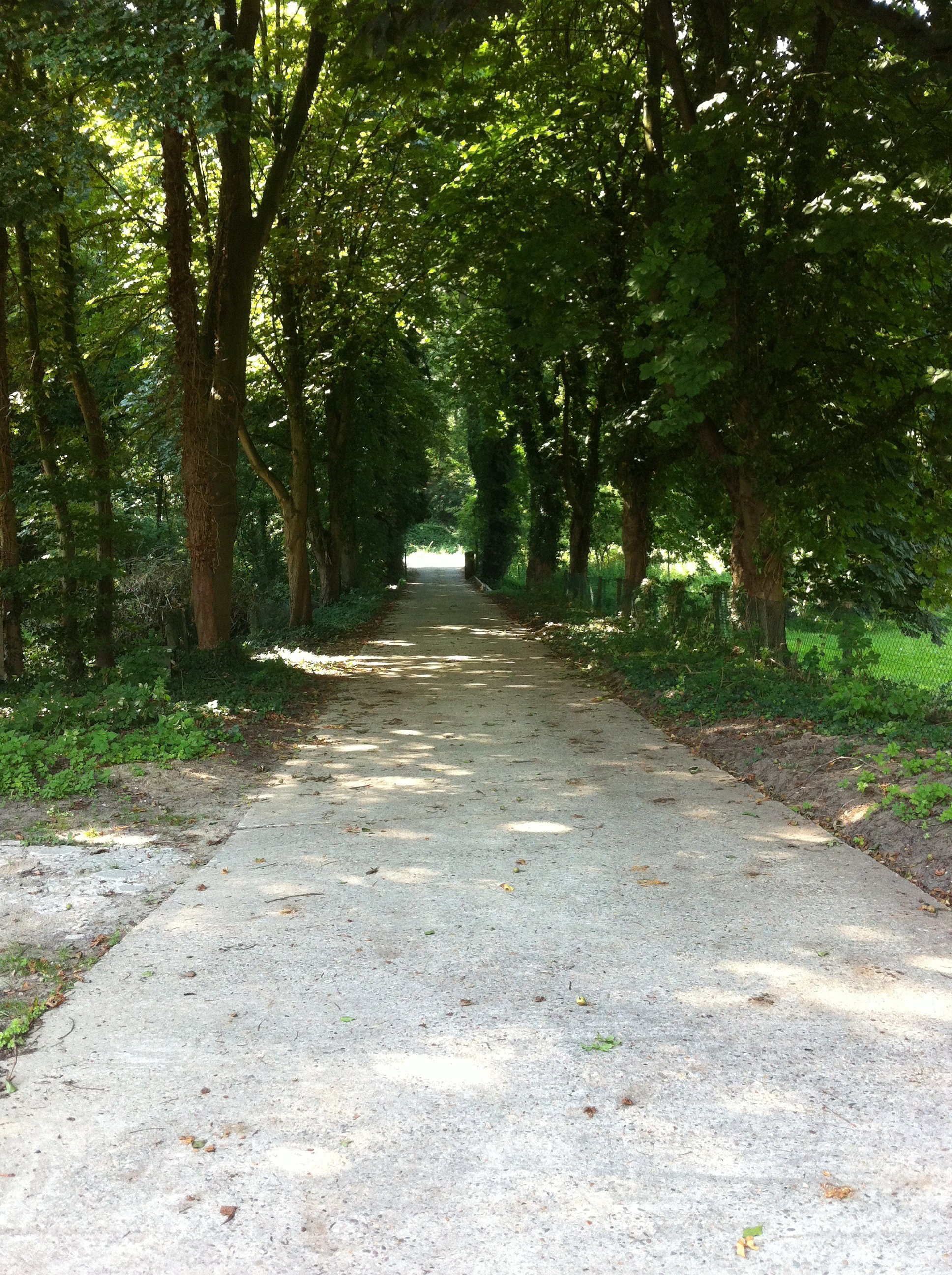 - image: 16
