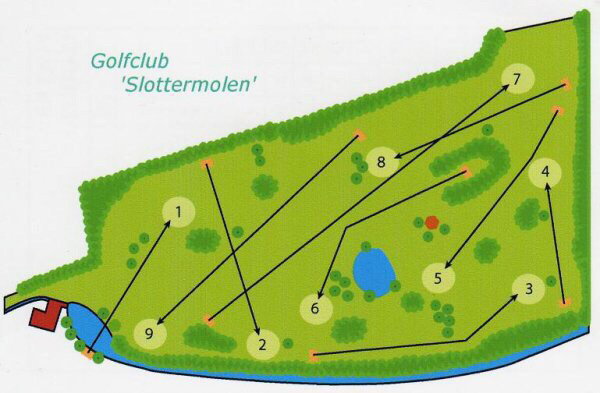 - image: 13