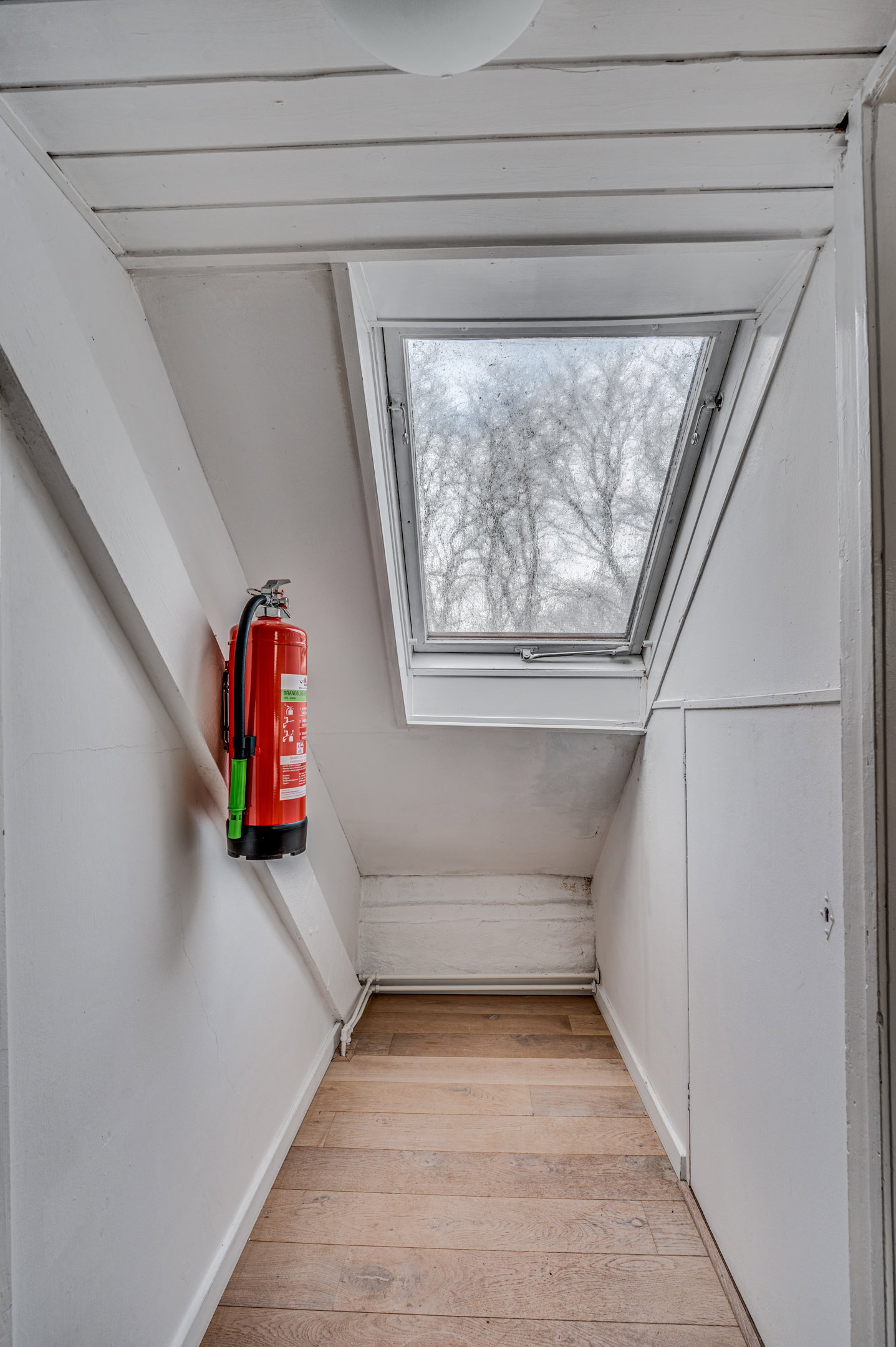 - image: 23