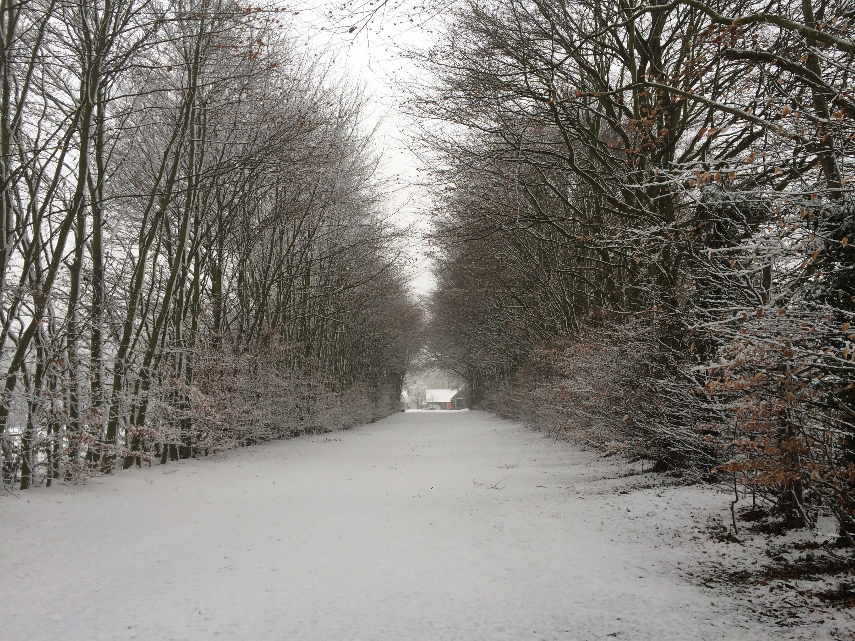 Naturhäuschen in Grubbenvorst