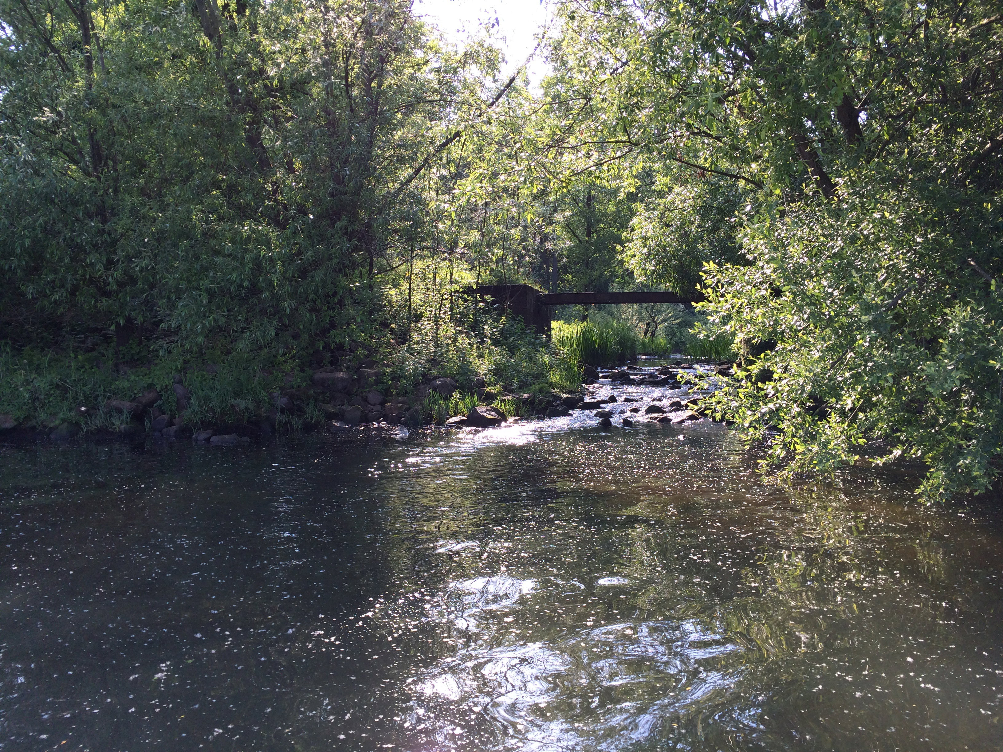 - image: 12