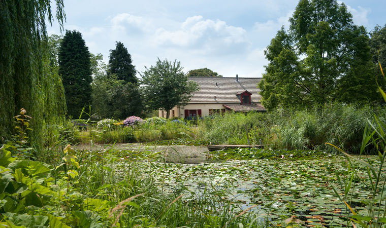 Maison nature à Siebengewald
