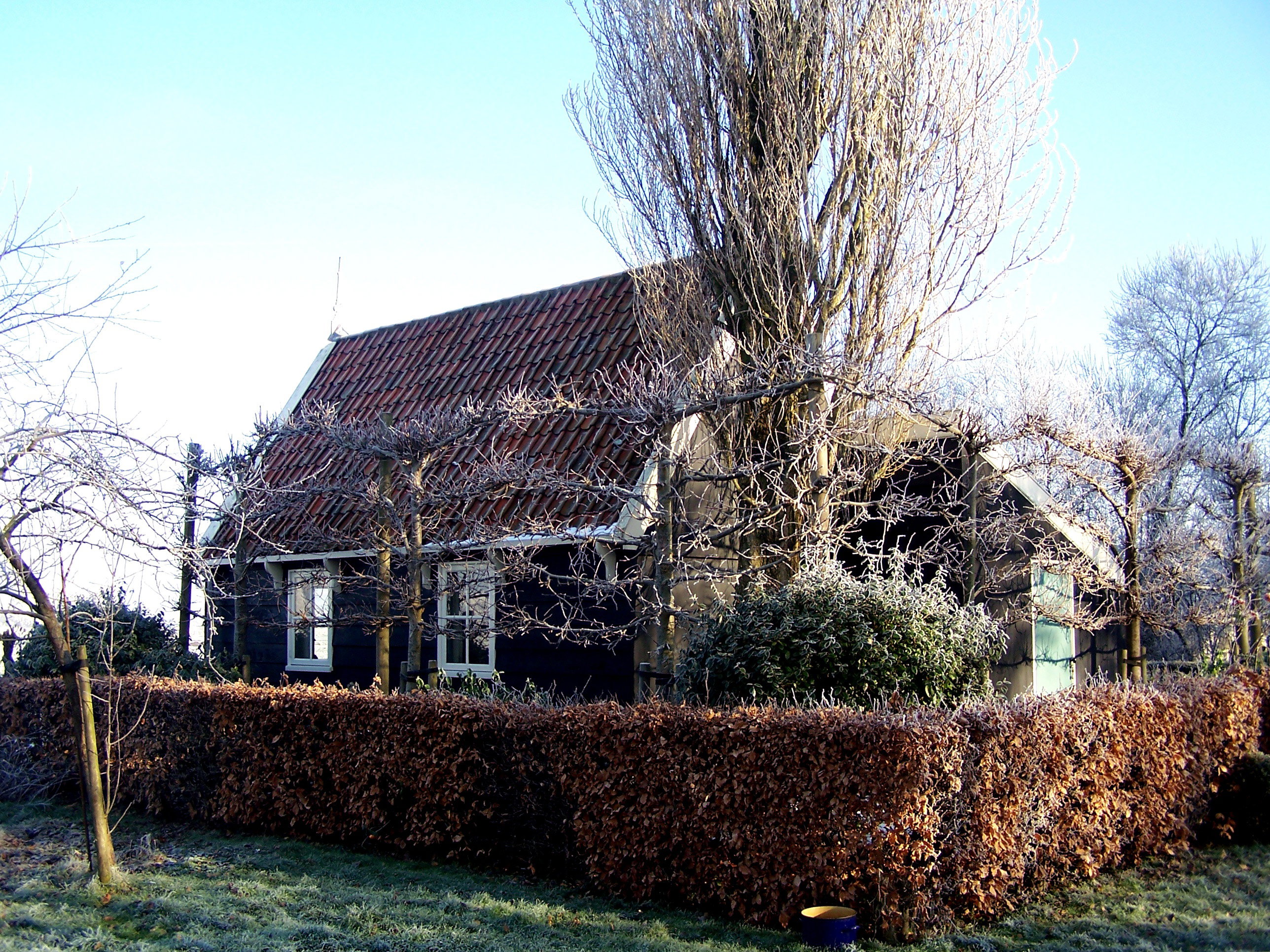 Maison nature à De Rijp