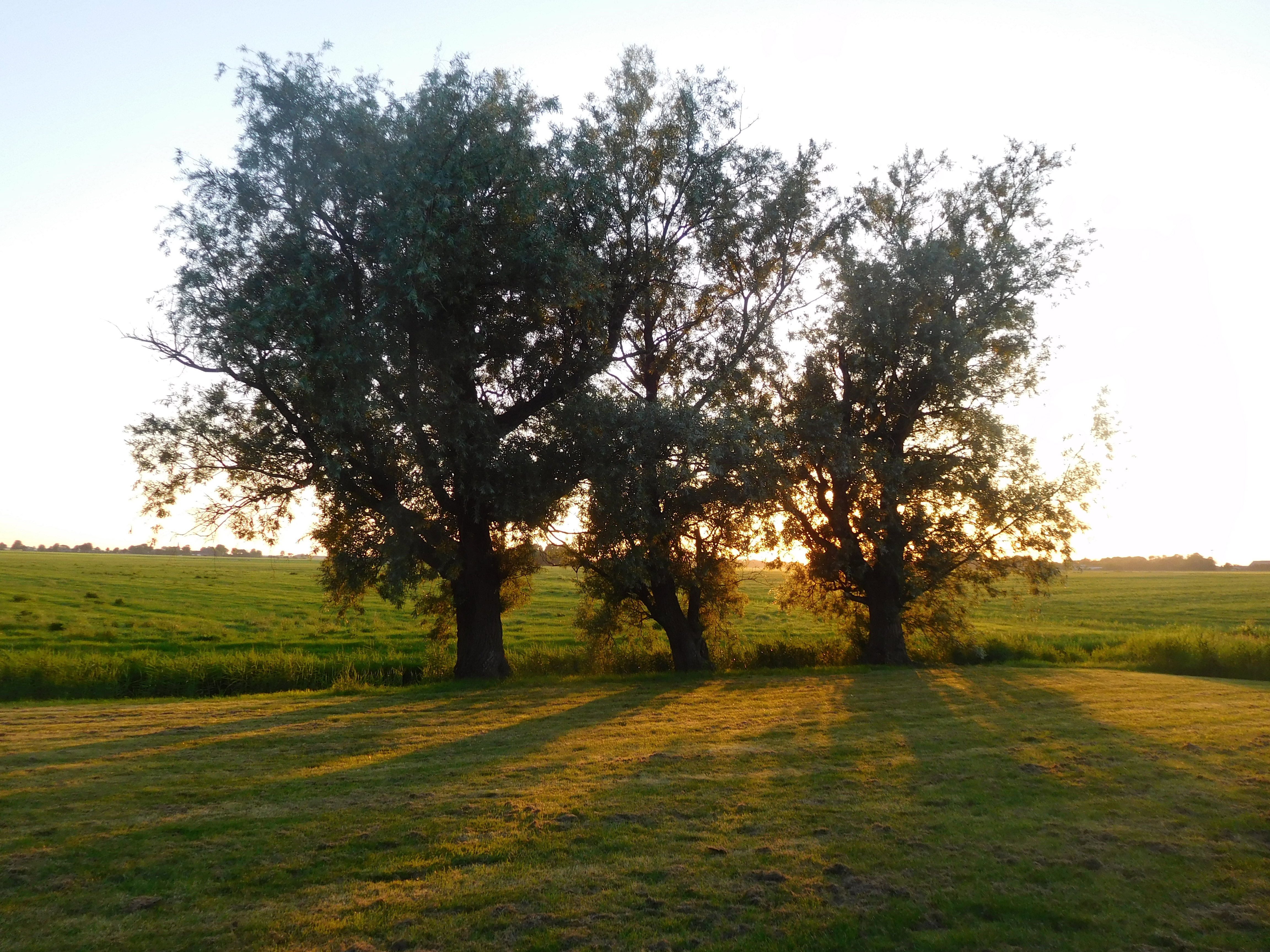 Maison nature à Jannum