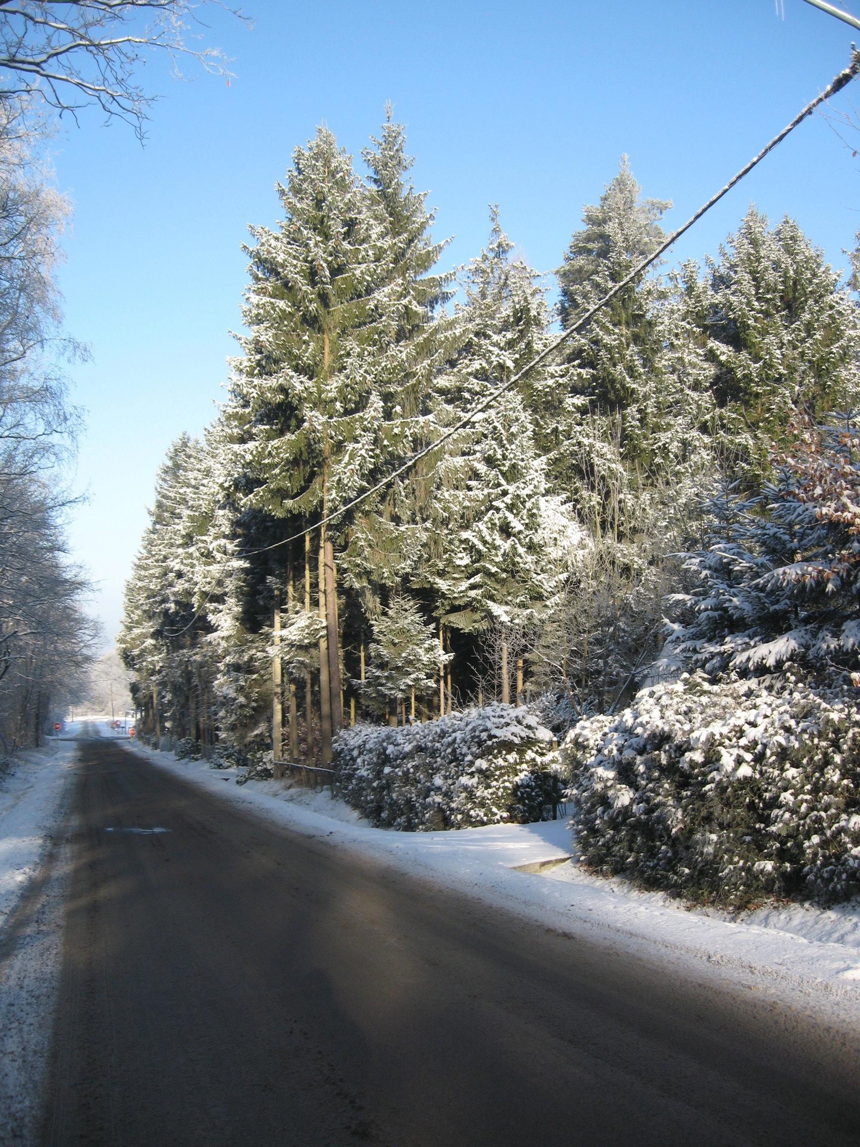 - image: 29