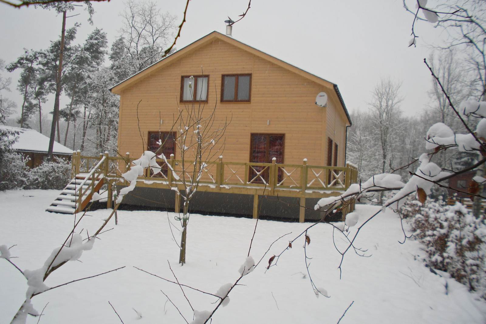 - image: 16