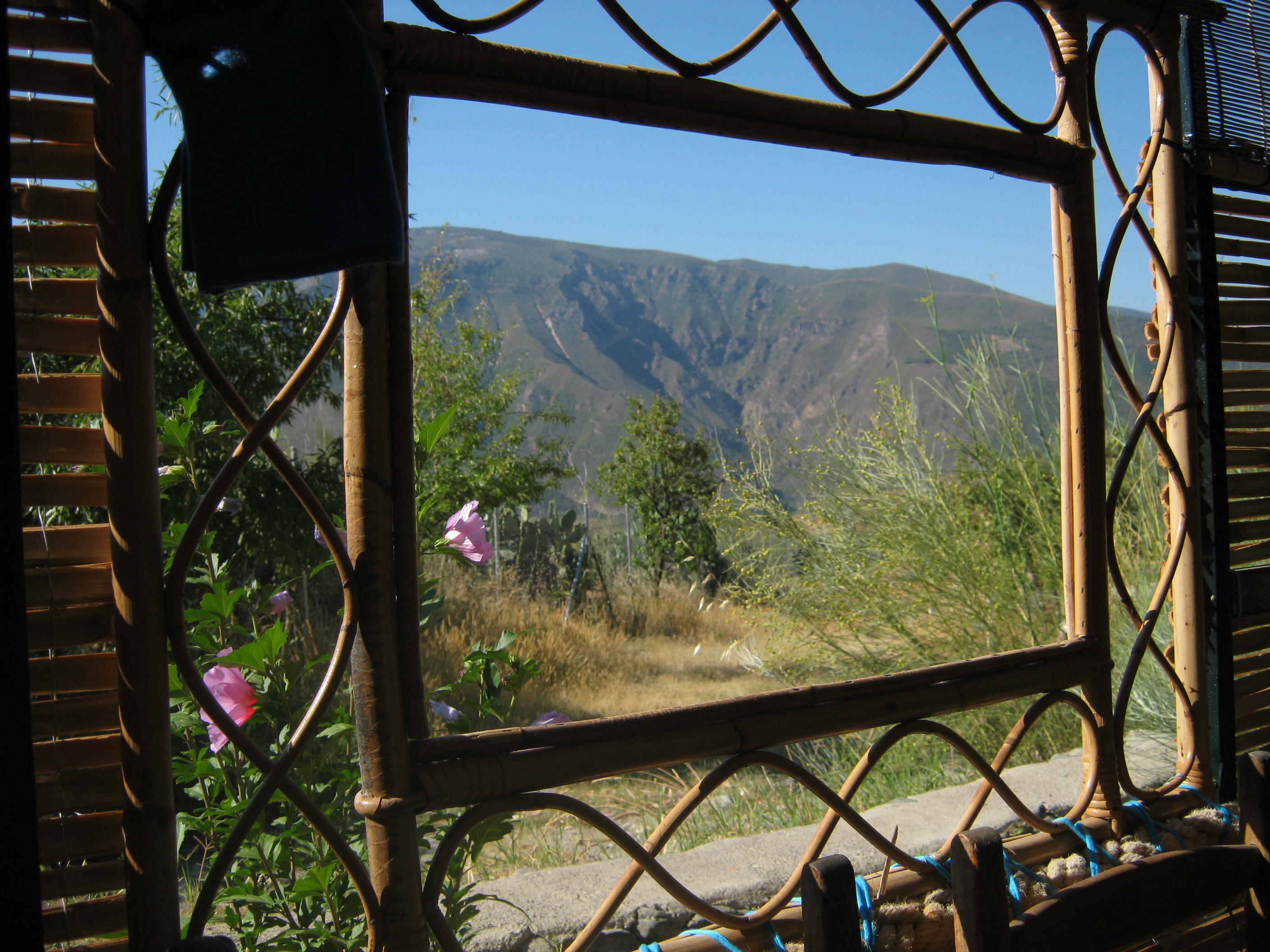 - image: 51