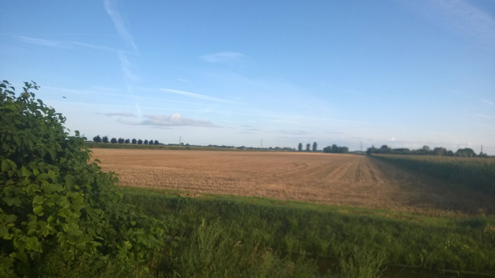 - image: 13