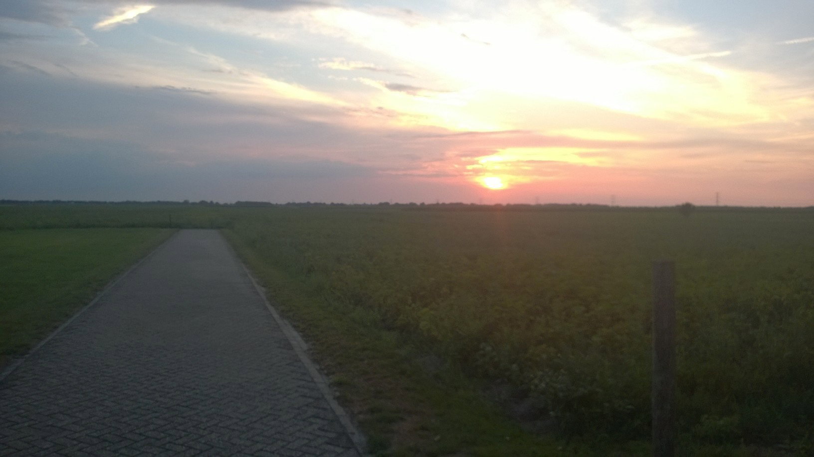 - image: 14