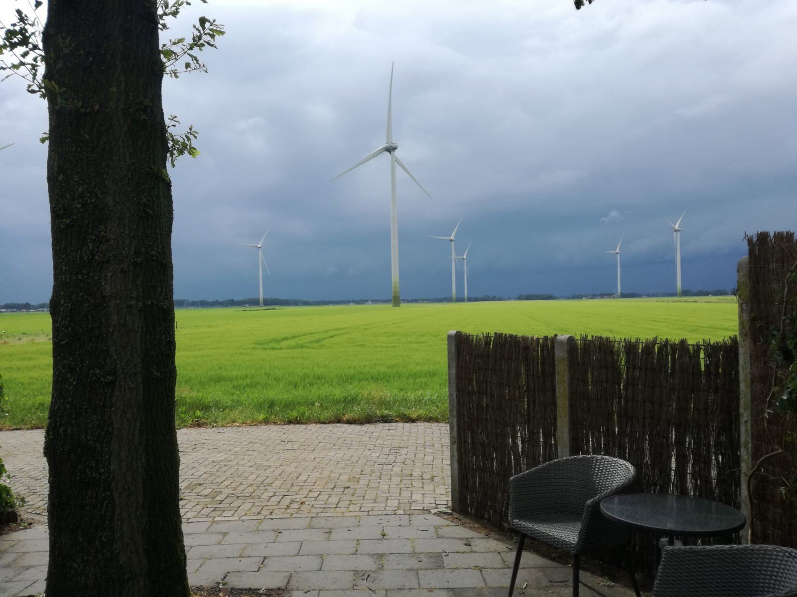 Maison nature à Stegeren