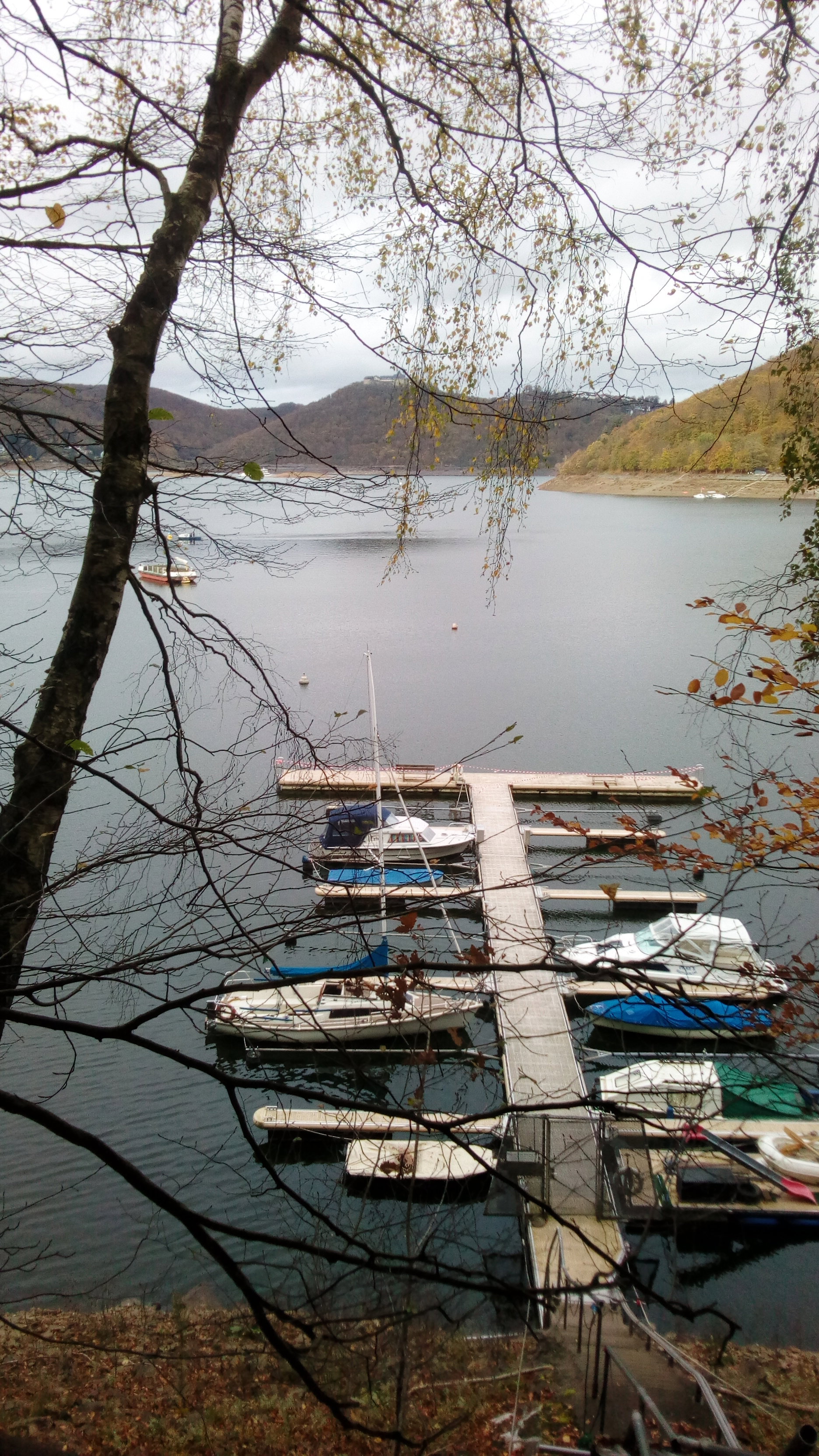 - image: 25