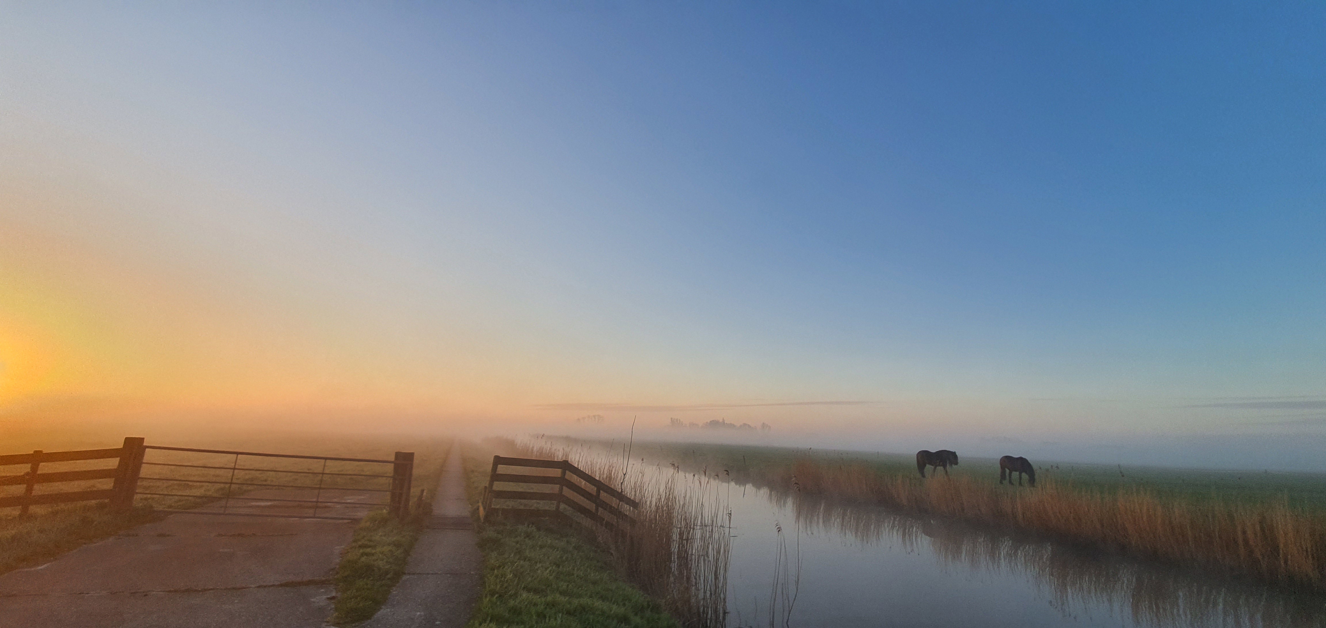Natuurhuisje in Easterein (Oosterend)