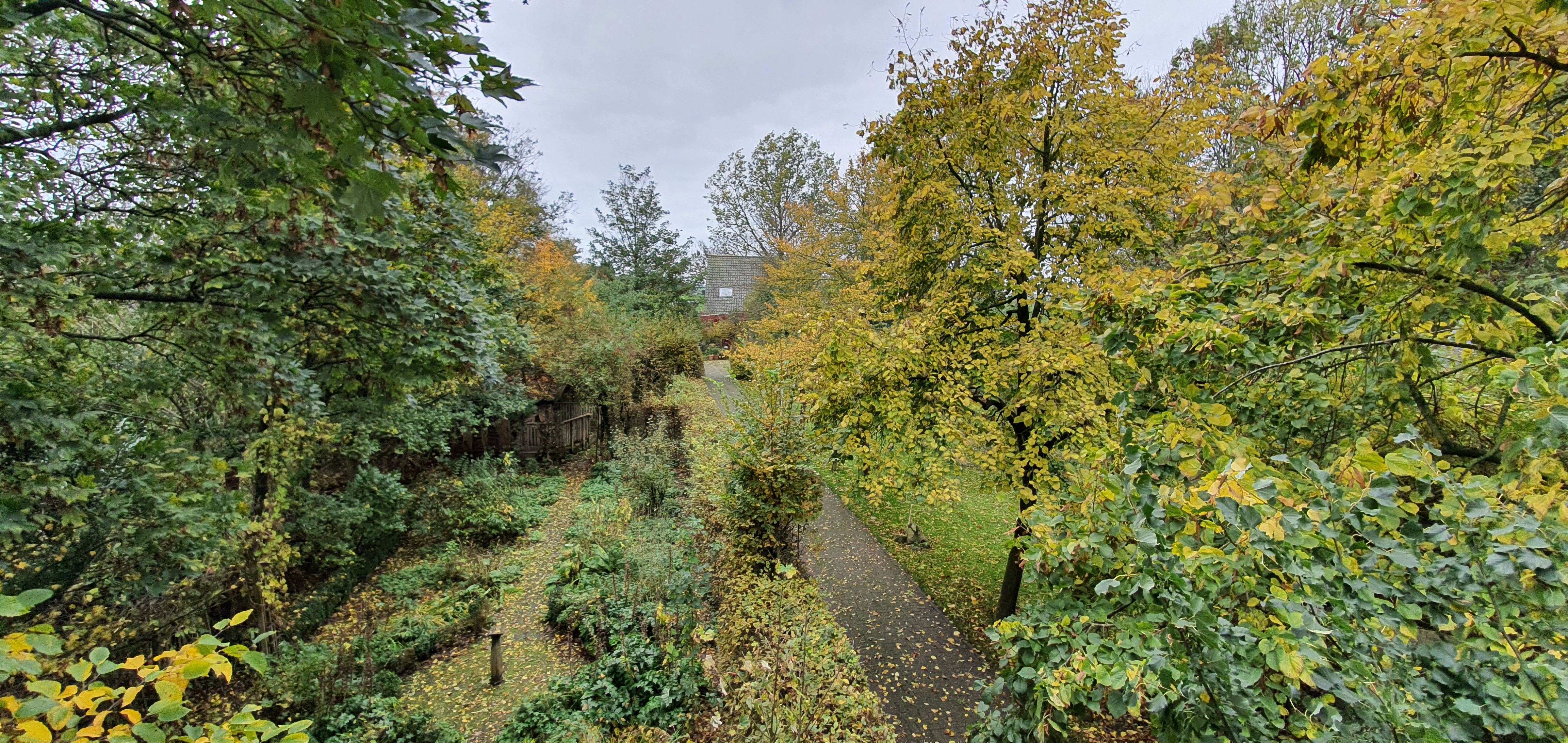 Natuurhuisje in Easterein (Oosterend)